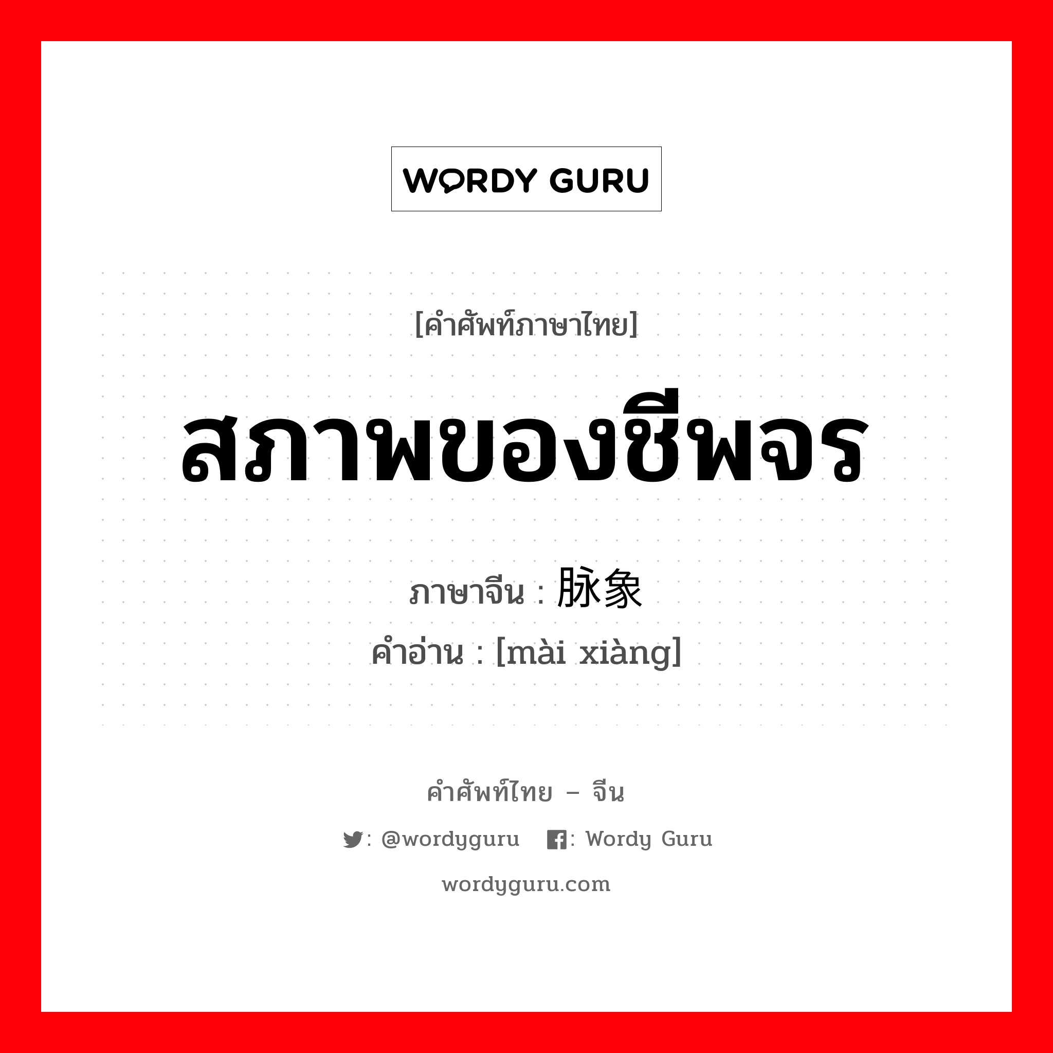 สภาพของชีพจร ภาษาจีนคืออะไร, คำศัพท์ภาษาไทย - จีน สภาพของชีพจร ภาษาจีน 脉象 คำอ่าน [mài xiàng]