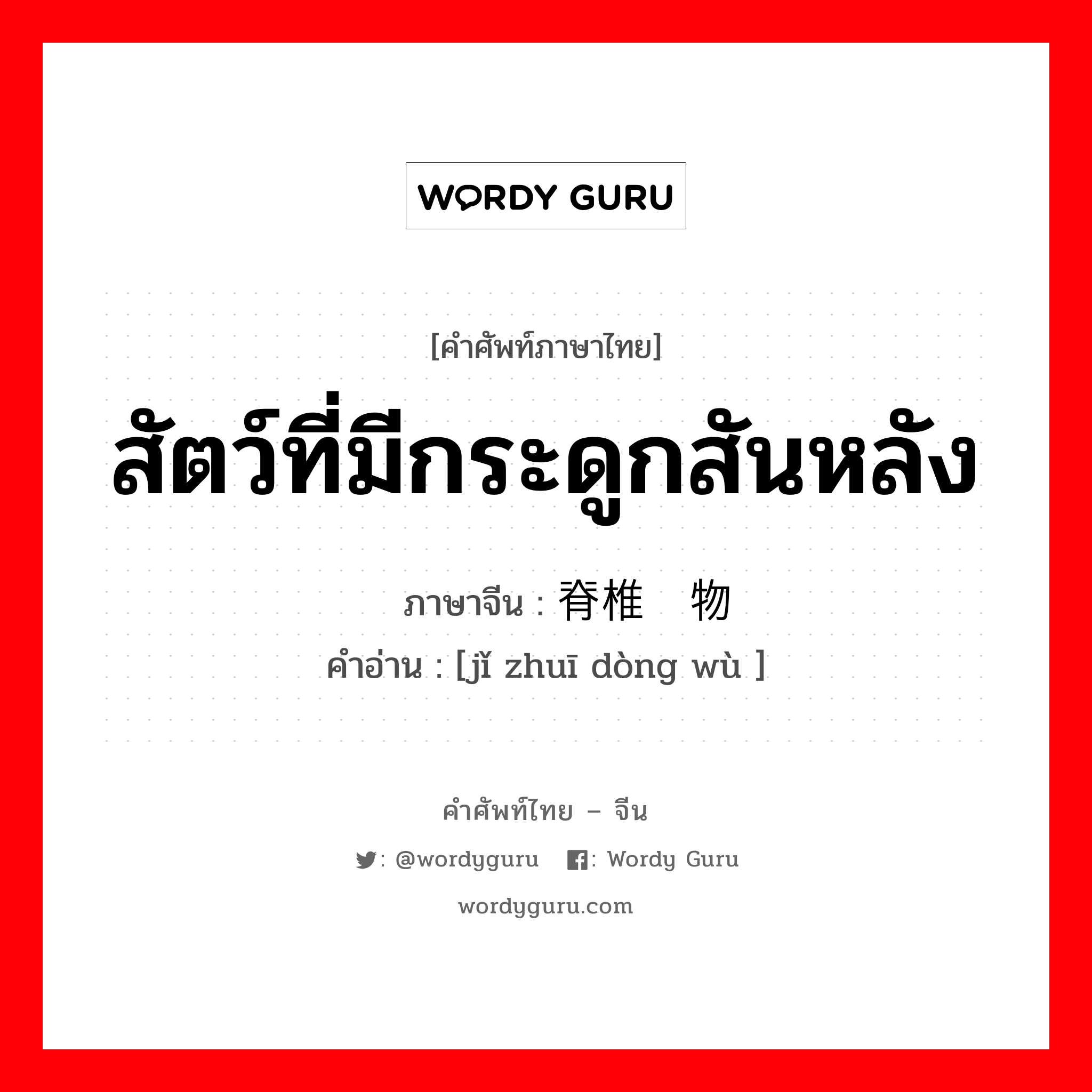 สัตว์ที่มีกระดูกสันหลัง ภาษาจีนคืออะไร, คำศัพท์ภาษาไทย - จีน สัตว์ที่มีกระดูกสันหลัง ภาษาจีน 脊椎动物 คำอ่าน [jǐ zhuī dòng wù ]