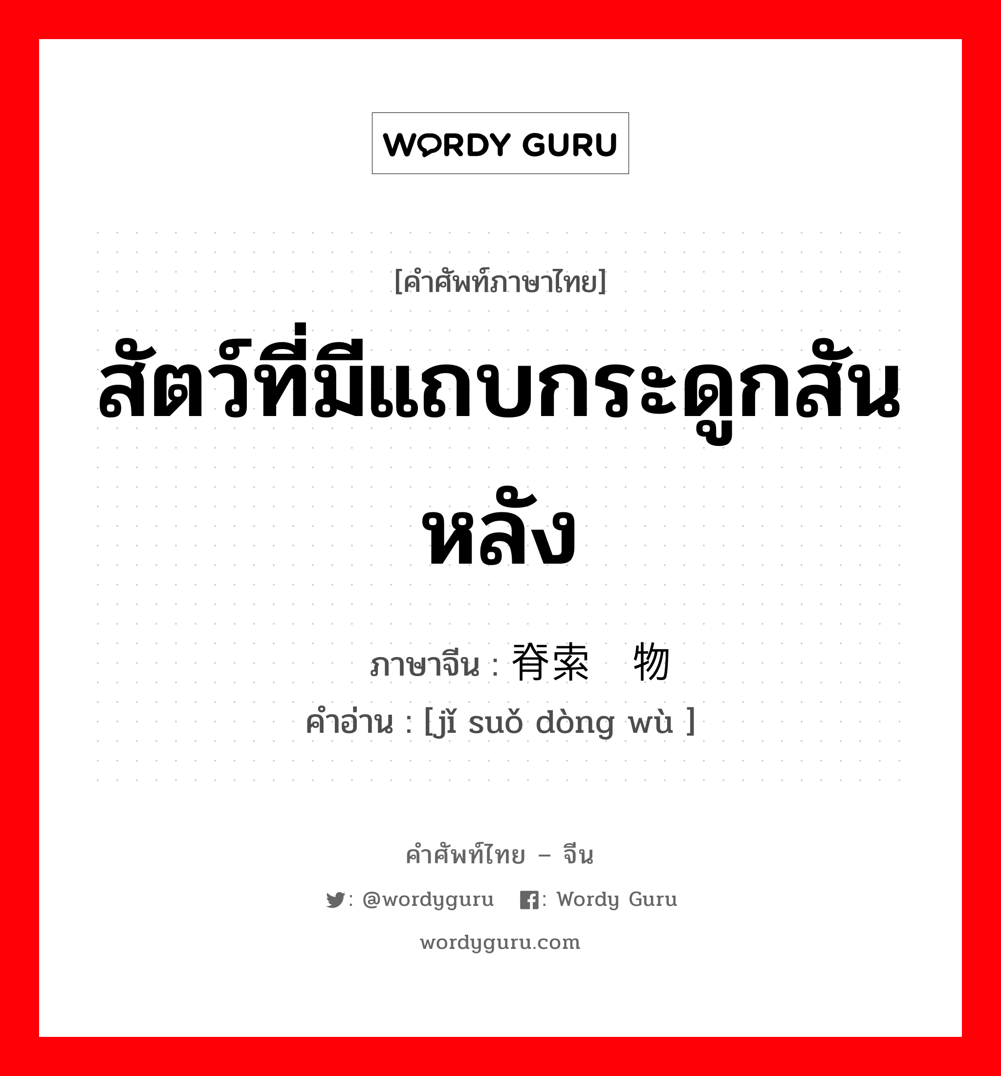 สัตว์ที่มีแถบกระดูกสันหลัง ภาษาจีนคืออะไร, คำศัพท์ภาษาไทย - จีน สัตว์ที่มีแถบกระดูกสันหลัง ภาษาจีน 脊索动物 คำอ่าน [jǐ suǒ dòng wù ]