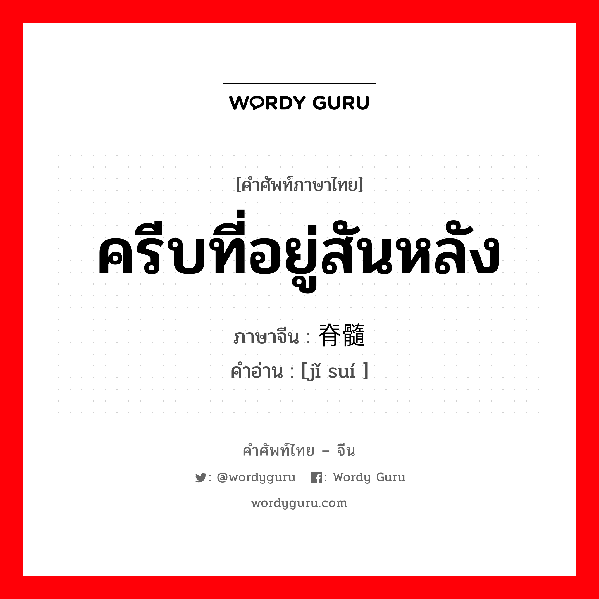 ครีบที่อยู่สันหลัง ภาษาจีนคืออะไร, คำศัพท์ภาษาไทย - จีน ครีบที่อยู่สันหลัง ภาษาจีน 脊髓 คำอ่าน [jǐ suí ]