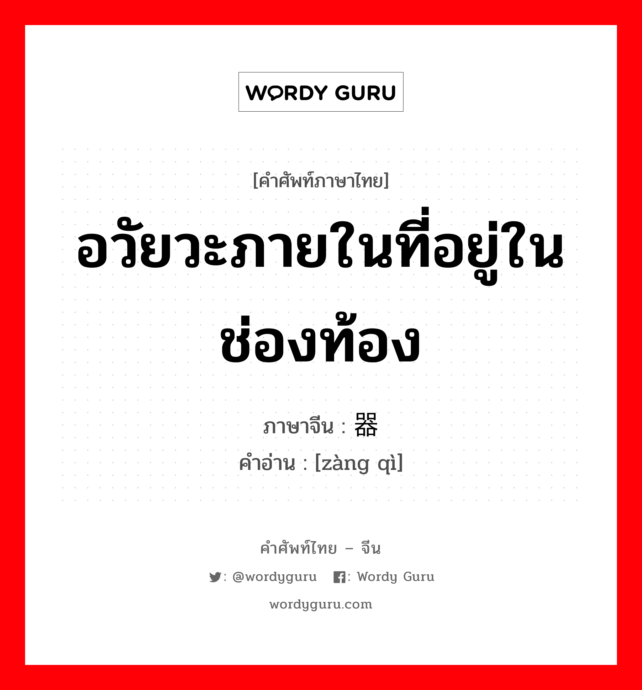 อวัยวะภายในที่อยู่ในช่องท้อง ภาษาจีนคืออะไร, คำศัพท์ภาษาไทย - จีน อวัยวะภายในที่อยู่ในช่องท้อง ภาษาจีน 脏器 คำอ่าน [zàng qì]