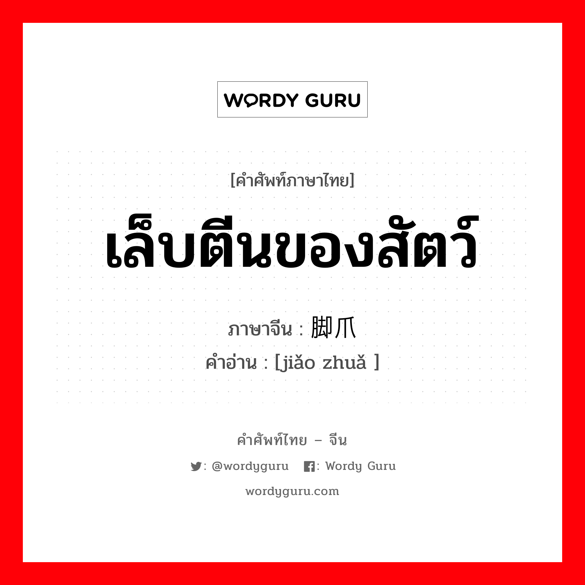 เล็บตีนของสัตว์ ภาษาจีนคืออะไร, คำศัพท์ภาษาไทย - จีน เล็บตีนของสัตว์ ภาษาจีน 脚爪 คำอ่าน [jiǎo zhuǎ ]