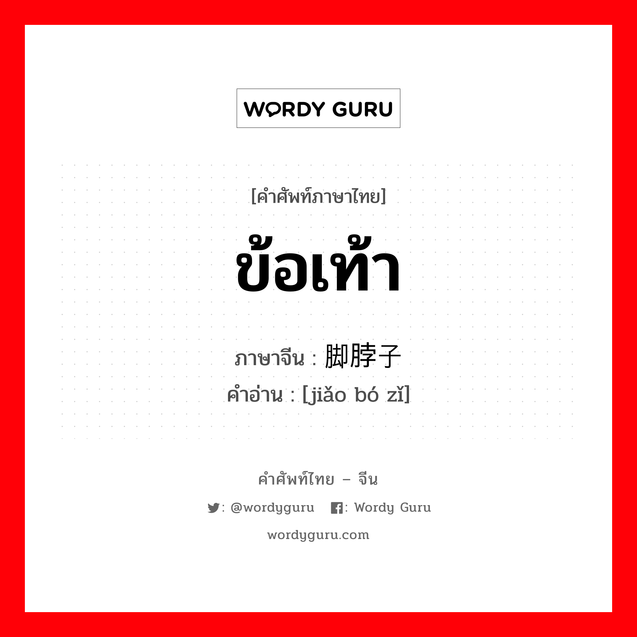 ข้อเท้า ภาษาจีนคืออะไร, คำศัพท์ภาษาไทย - จีน ข้อเท้า ภาษาจีน 脚脖子 คำอ่าน [jiǎo bó zǐ]