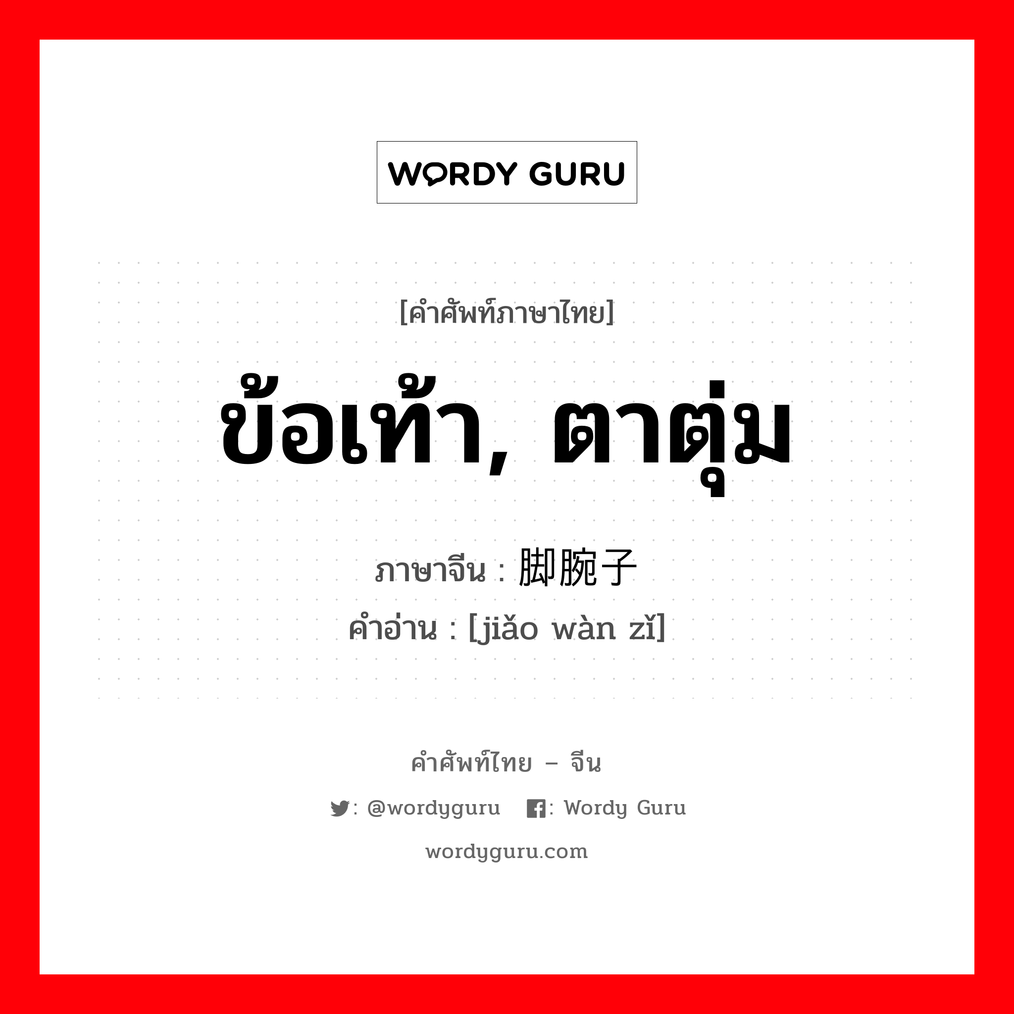 ข้อเท้า, ตาตุ่ม ภาษาจีนคืออะไร, คำศัพท์ภาษาไทย - จีน ข้อเท้า, ตาตุ่ม ภาษาจีน 脚腕子 คำอ่าน [jiǎo wàn zǐ]