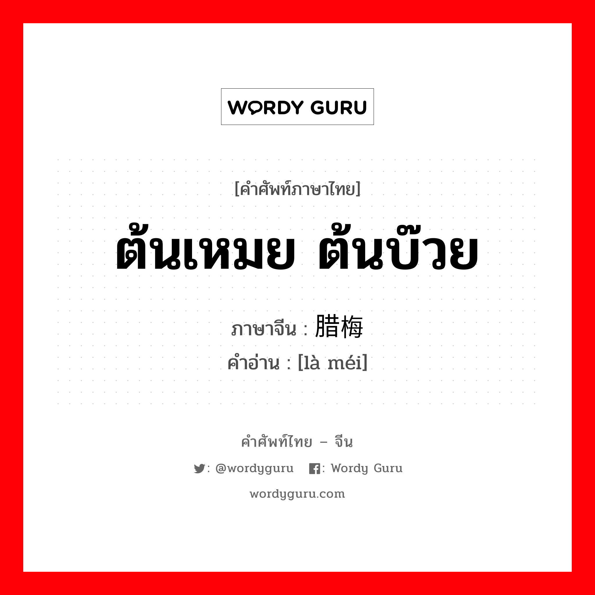 ต้นเหมย ต้นบ๊วย ภาษาจีนคืออะไร, คำศัพท์ภาษาไทย - จีน ต้นเหมย ต้นบ๊วย ภาษาจีน 腊梅 คำอ่าน [là méi]