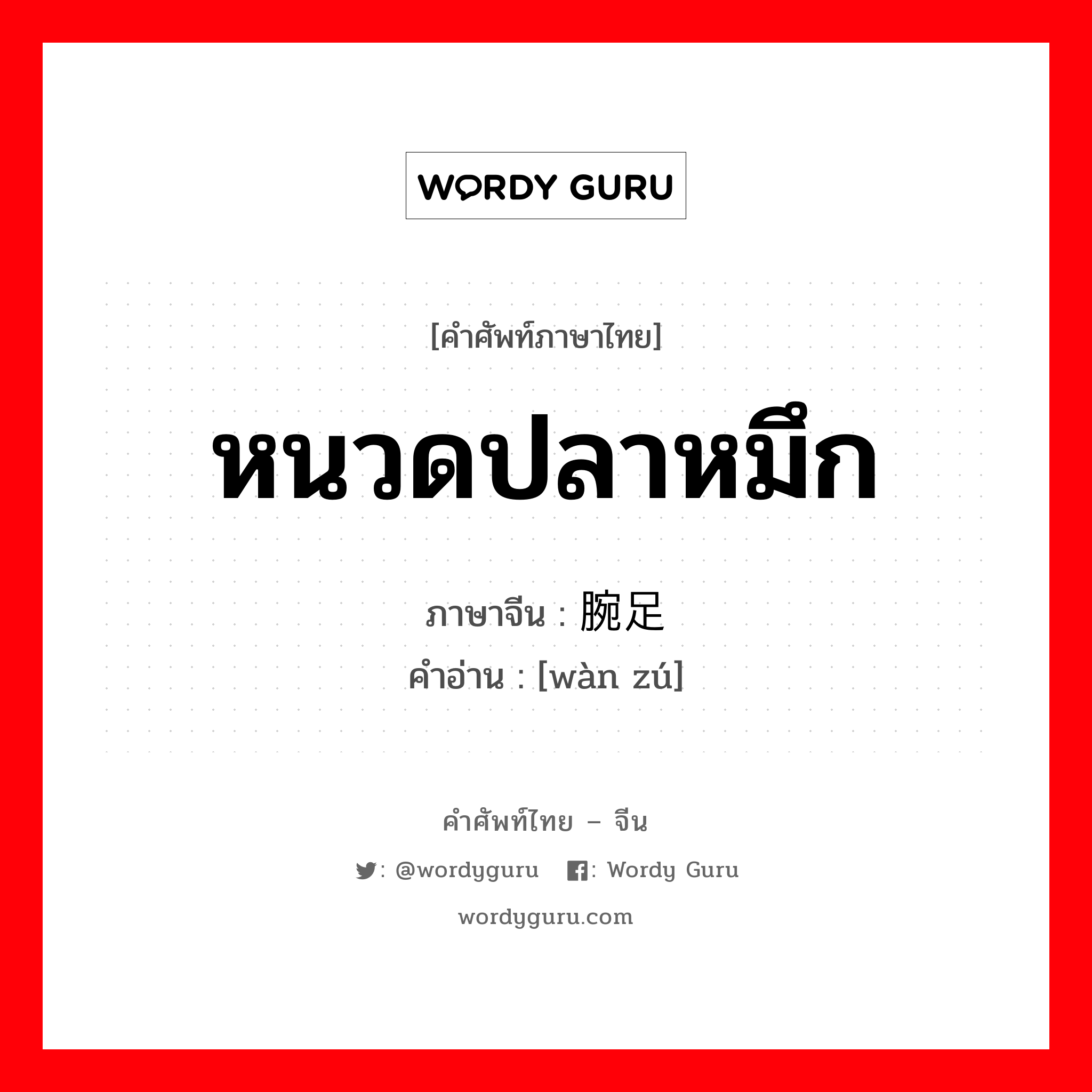 หนวดปลาหมึก ภาษาจีนคืออะไร, คำศัพท์ภาษาไทย - จีน หนวดปลาหมึก ภาษาจีน 腕足 คำอ่าน [wàn zú]