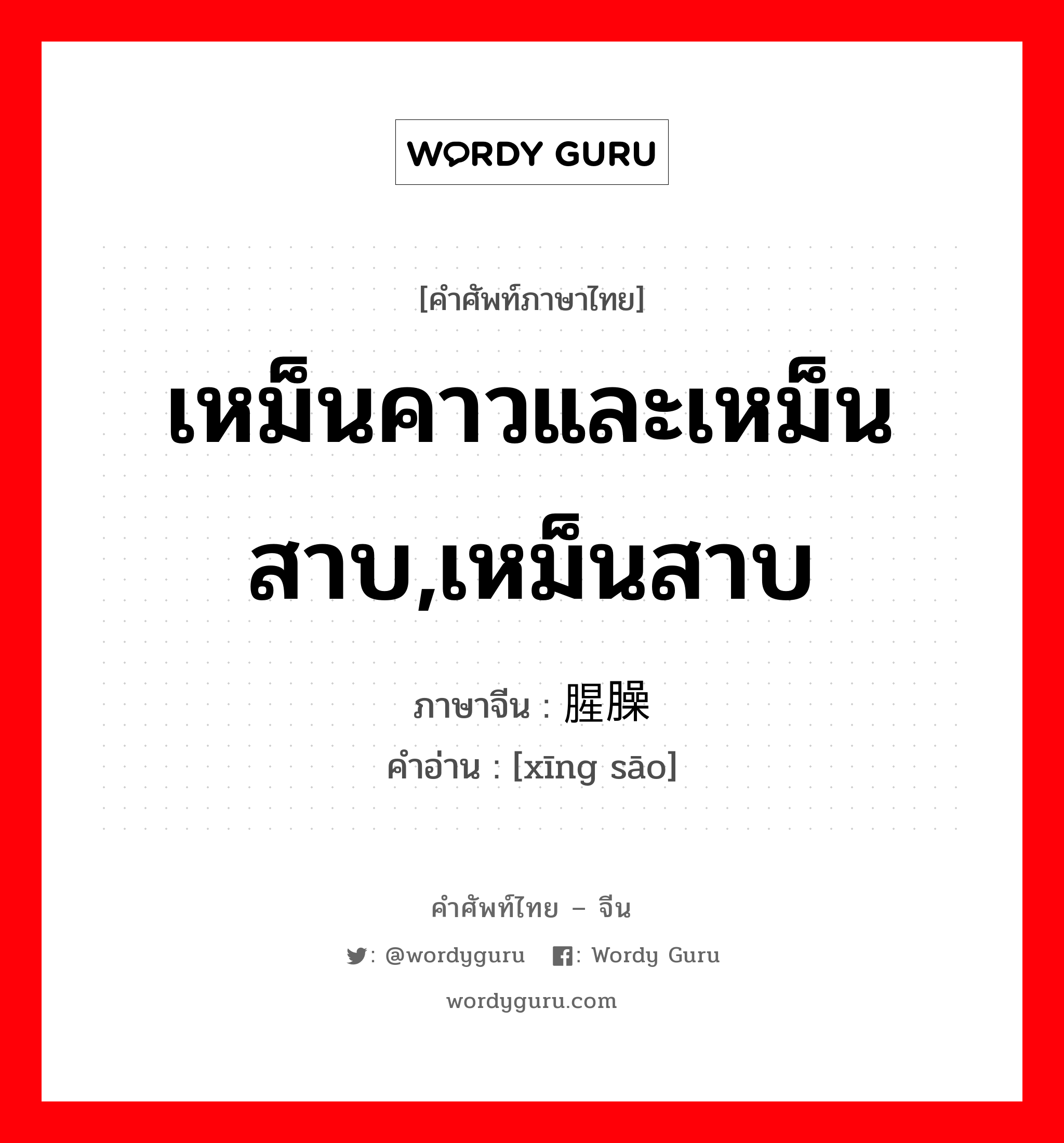 เหม็นคาวและเหม็นสาบ,เหม็นสาบ ภาษาจีนคืออะไร, คำศัพท์ภาษาไทย - จีน เหม็นคาวและเหม็นสาบ,เหม็นสาบ ภาษาจีน 腥臊 คำอ่าน [xīng sāo]