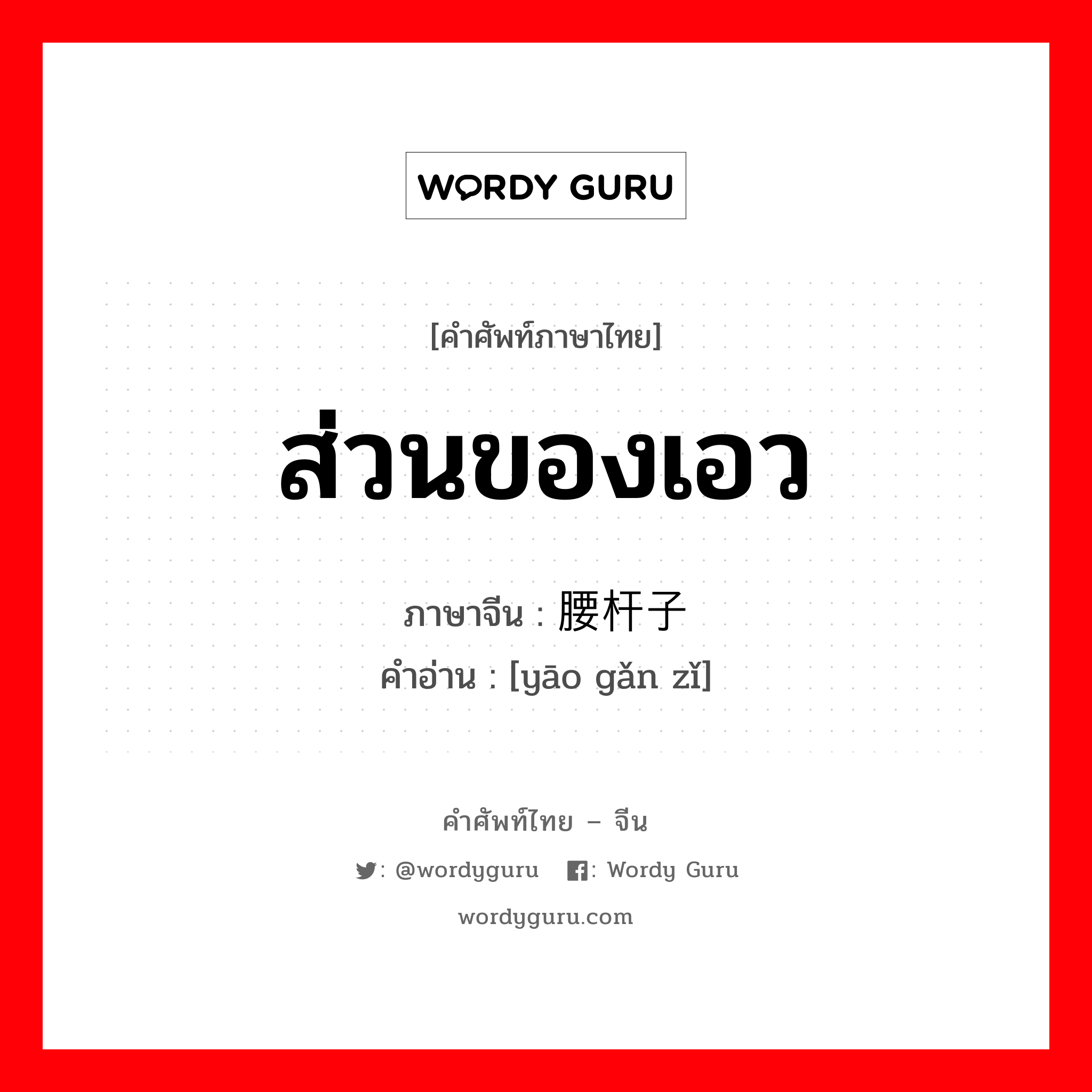 ส่วนของเอว ภาษาจีนคืออะไร, คำศัพท์ภาษาไทย - จีน ส่วนของเอว ภาษาจีน 腰杆子 คำอ่าน [yāo gǎn zǐ]