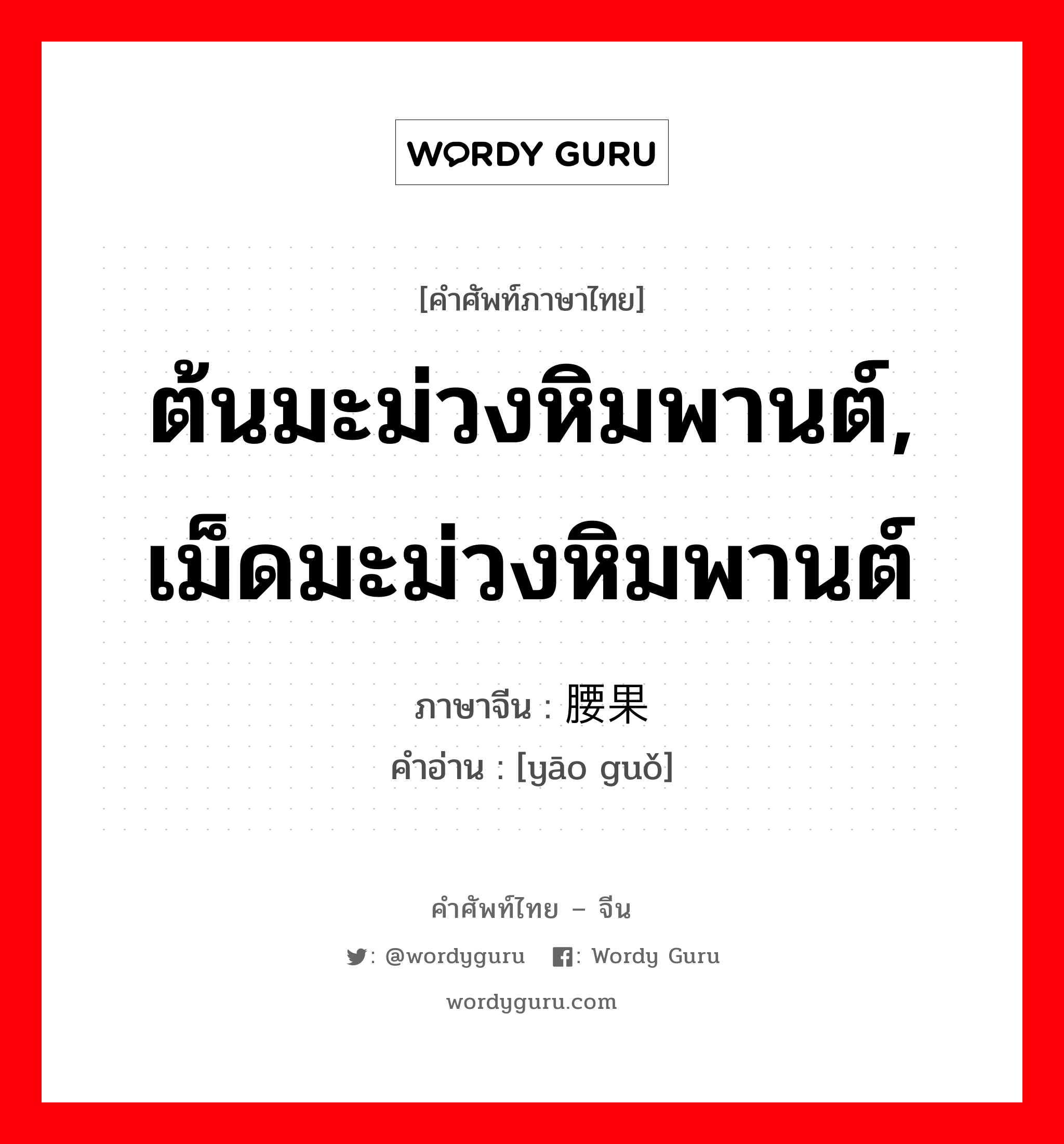 ต้นมะม่วงหิมพานต์, เม็ดมะม่วงหิมพานต์ ภาษาจีนคืออะไร, คำศัพท์ภาษาไทย - จีน ต้นมะม่วงหิมพานต์, เม็ดมะม่วงหิมพานต์ ภาษาจีน 腰果 คำอ่าน [yāo guǒ]