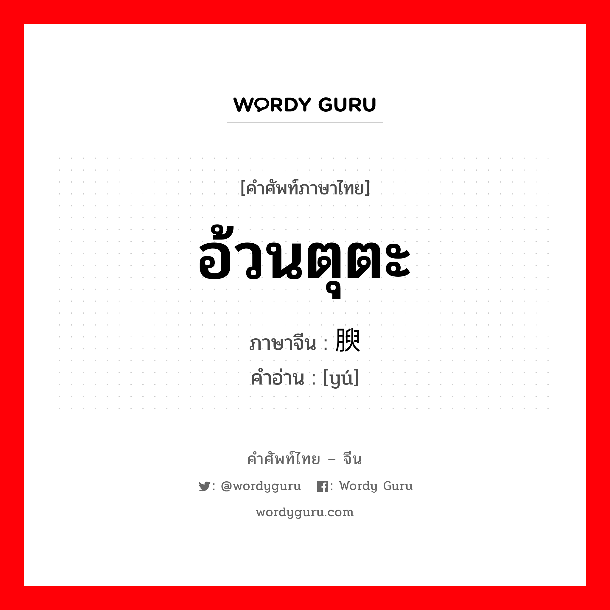 อ้วนตุตะ ภาษาจีนคืออะไร, คำศัพท์ภาษาไทย - จีน อ้วนตุตะ ภาษาจีน 腴 คำอ่าน [yú]