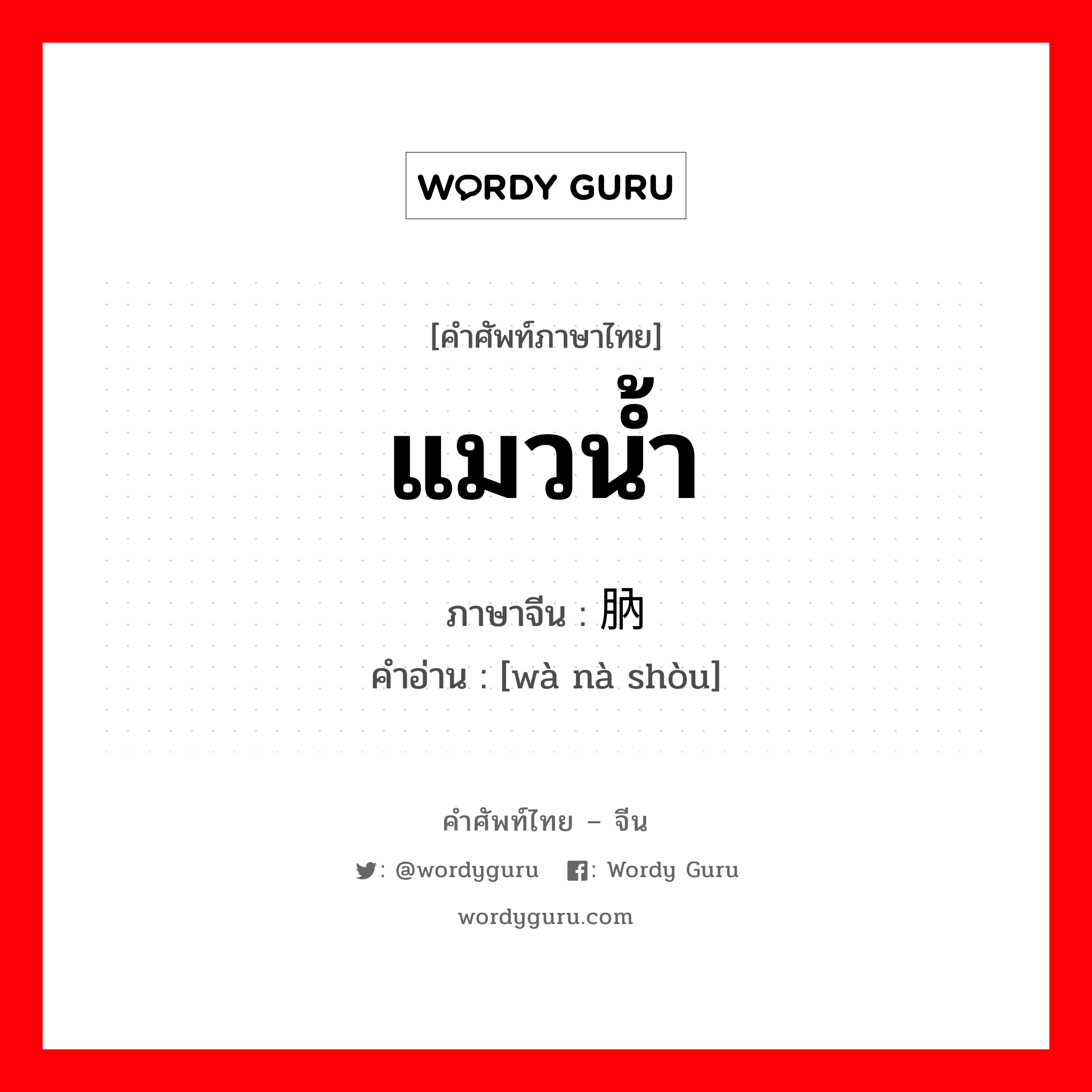 แมวน้ำ ภาษาจีนคืออะไร, คำศัพท์ภาษาไทย - จีน แมวน้ำ ภาษาจีน 腽肭兽 คำอ่าน [wà nà shòu]