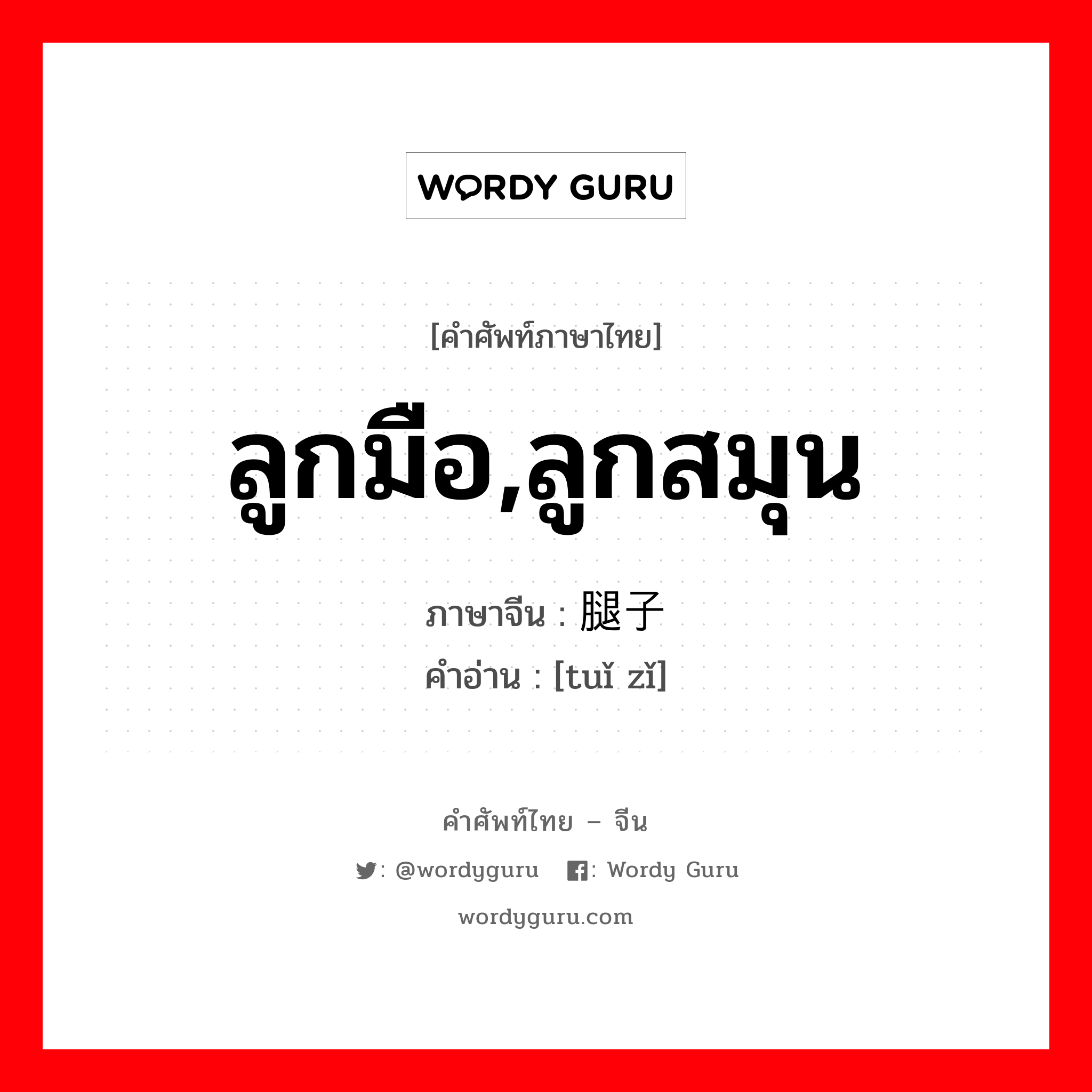 ลูกมือ,ลูกสมุน ภาษาจีนคืออะไร, คำศัพท์ภาษาไทย - จีน ลูกมือ,ลูกสมุน ภาษาจีน 腿子 คำอ่าน [tuǐ zǐ]