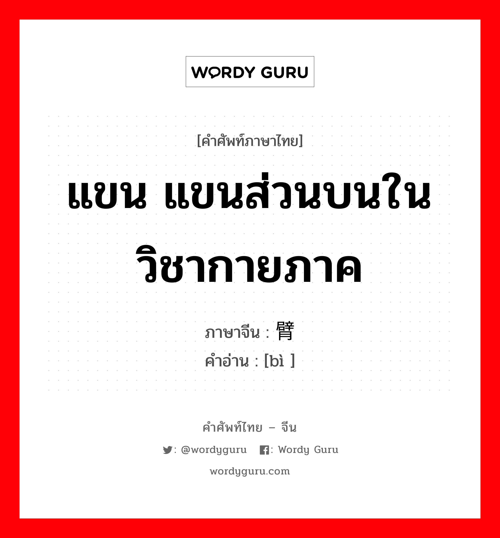 แขน แขนส่วนบนในวิชากายภาค ภาษาจีนคืออะไร, คำศัพท์ภาษาไทย - จีน แขน แขนส่วนบนในวิชากายภาค ภาษาจีน 臂 คำอ่าน [bì ]