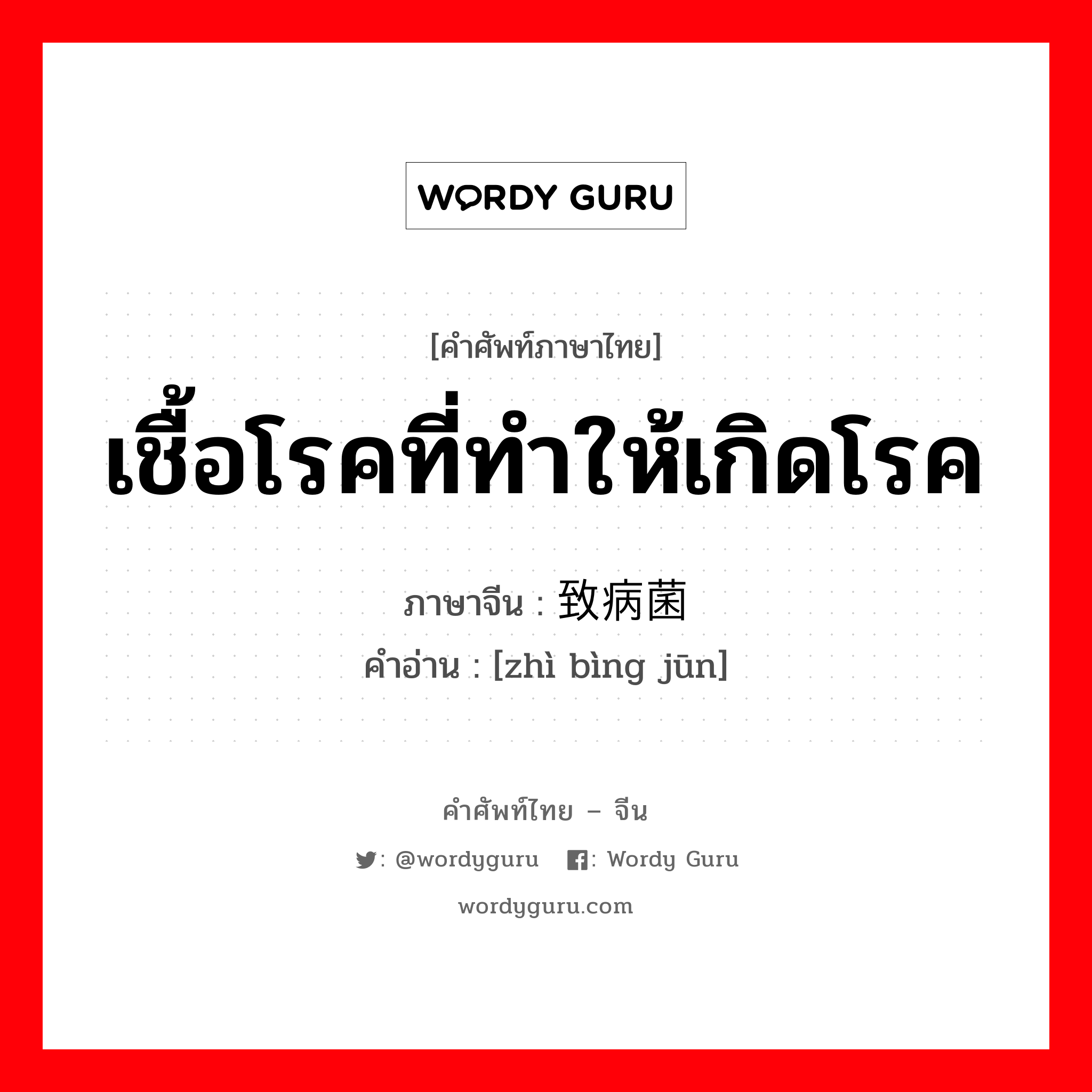 เชื้อโรคที่ทำให้เกิดโรค ภาษาจีนคืออะไร, คำศัพท์ภาษาไทย - จีน เชื้อโรคที่ทำให้เกิดโรค ภาษาจีน 致病菌 คำอ่าน [zhì bìng jūn]