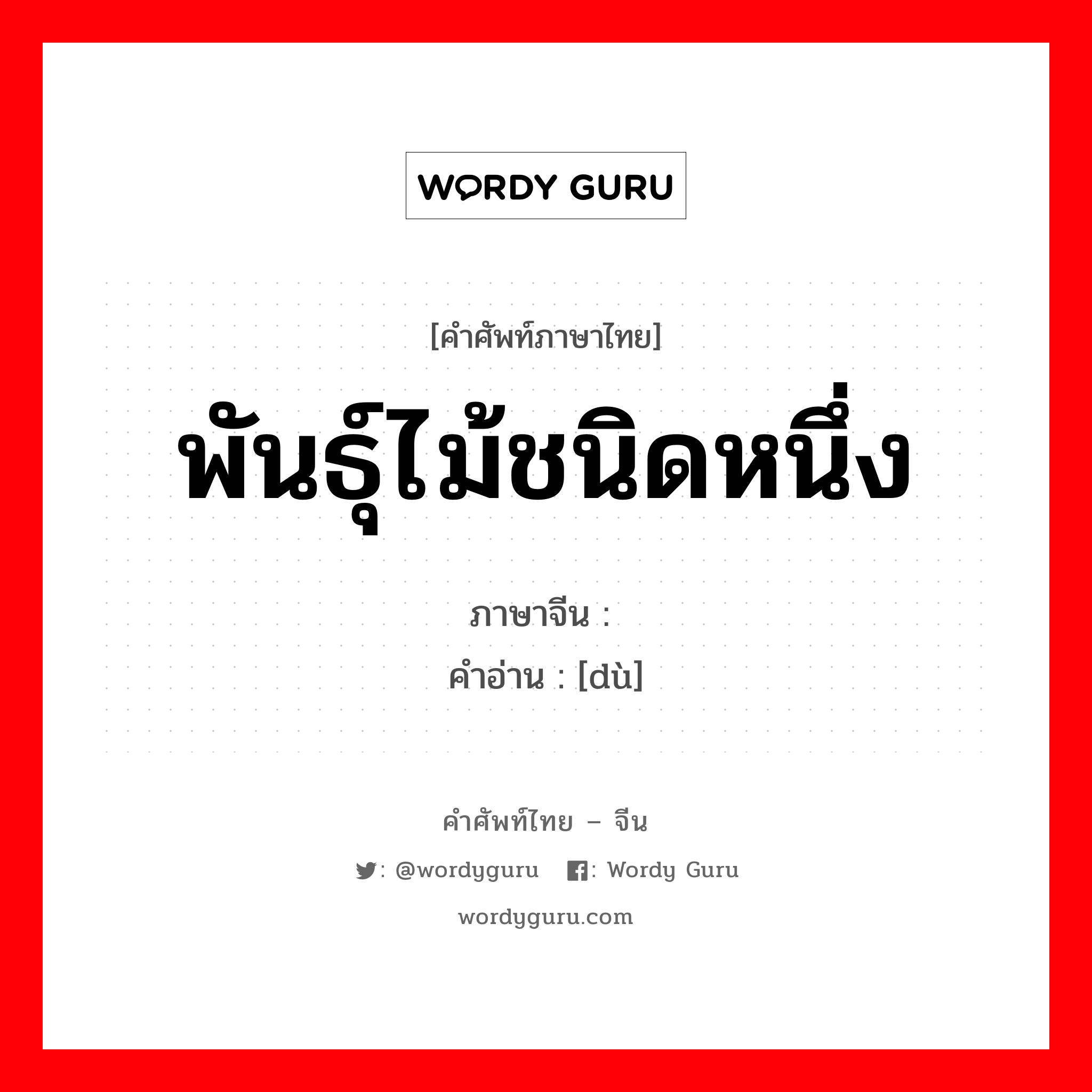 พันธุ์ไม้ชนิดหนึ่ง ภาษาจีนคืออะไร, คำศัพท์ภาษาไทย - จีน พันธุ์ไม้ชนิดหนึ่ง ภาษาจีน 芏 คำอ่าน [dù]