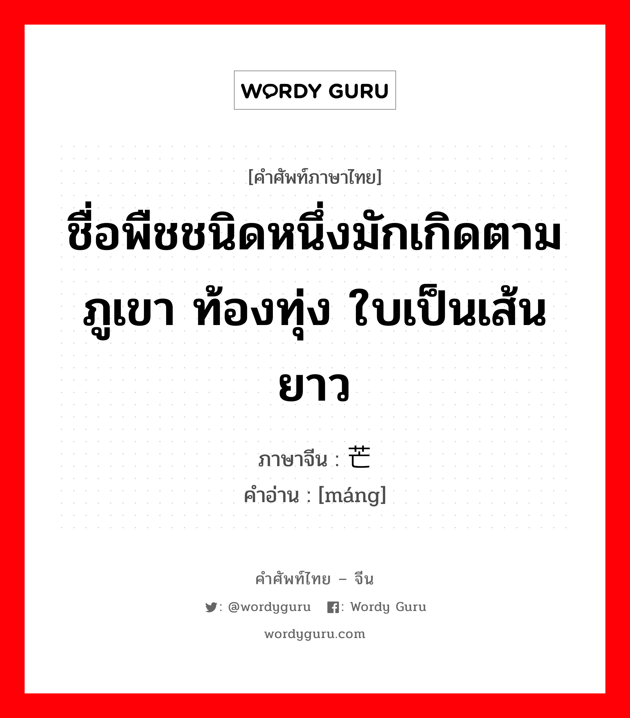 ชื่อพืชชนิดหนึ่งมักเกิดตามภูเขา ท้องทุ่ง ใบเป็นเส้นยาว ภาษาจีนคืออะไร, คำศัพท์ภาษาไทย - จีน ชื่อพืชชนิดหนึ่งมักเกิดตามภูเขา ท้องทุ่ง ใบเป็นเส้นยาว ภาษาจีน 芒 คำอ่าน [máng]