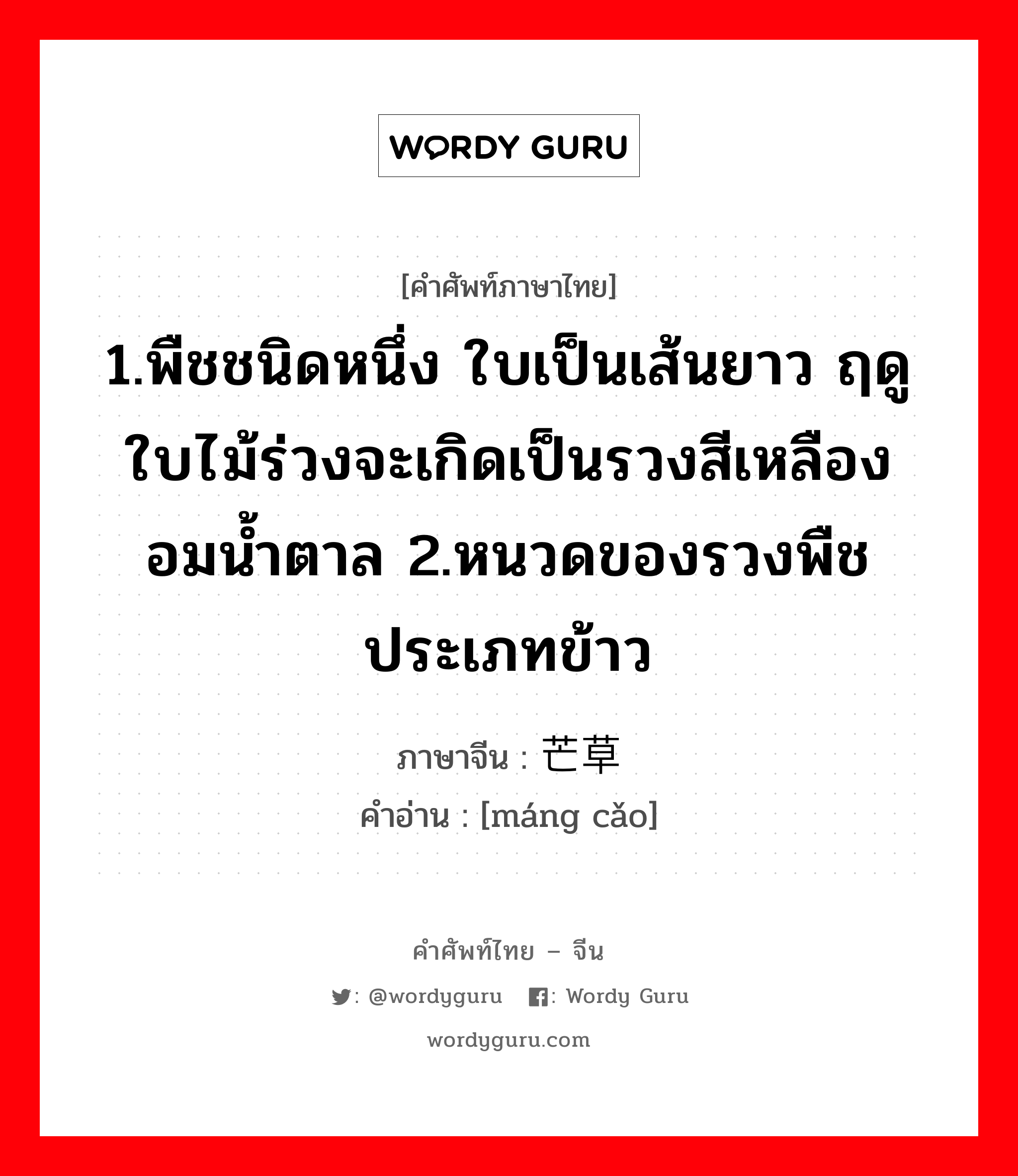 1.พืชชนิดหนึ่ง ใบเป็นเส้นยาว ฤดูใบไม้ร่วงจะเกิดเป็นรวงสีเหลืองอมน้ำตาล 2.หนวดของรวงพืชประเภทข้าว ภาษาจีนคืออะไร, คำศัพท์ภาษาไทย - จีน 1.พืชชนิดหนึ่ง ใบเป็นเส้นยาว ฤดูใบไม้ร่วงจะเกิดเป็นรวงสีเหลืองอมน้ำตาล 2.หนวดของรวงพืชประเภทข้าว ภาษาจีน 芒草 คำอ่าน [máng cǎo]