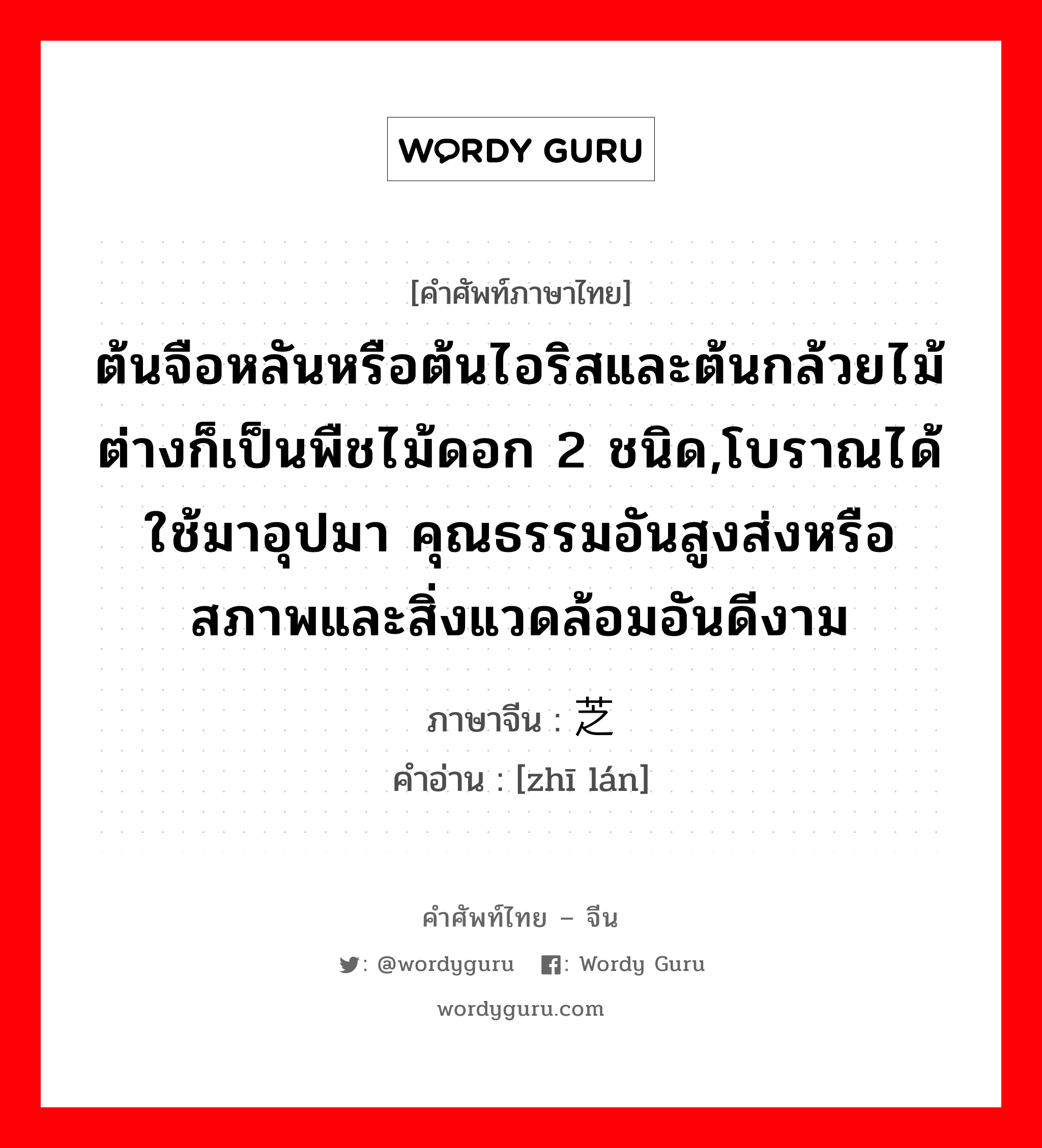 ต้นจือหลันหรือต้นไอริสและต้นกล้วยไม้ต่างก็เป็นพืชไม้ดอก 2 ชนิด,โบราณได้ใช้มาอุปมา คุณธรรมอันสูงส่งหรือสภาพและสิ่งแวดล้อมอันดีงาม ภาษาจีนคืออะไร, คำศัพท์ภาษาไทย - จีน ต้นจือหลันหรือต้นไอริสและต้นกล้วยไม้ต่างก็เป็นพืชไม้ดอก 2 ชนิด,โบราณได้ใช้มาอุปมา คุณธรรมอันสูงส่งหรือสภาพและสิ่งแวดล้อมอันดีงาม ภาษาจีน 芝兰 คำอ่าน [zhī lán]