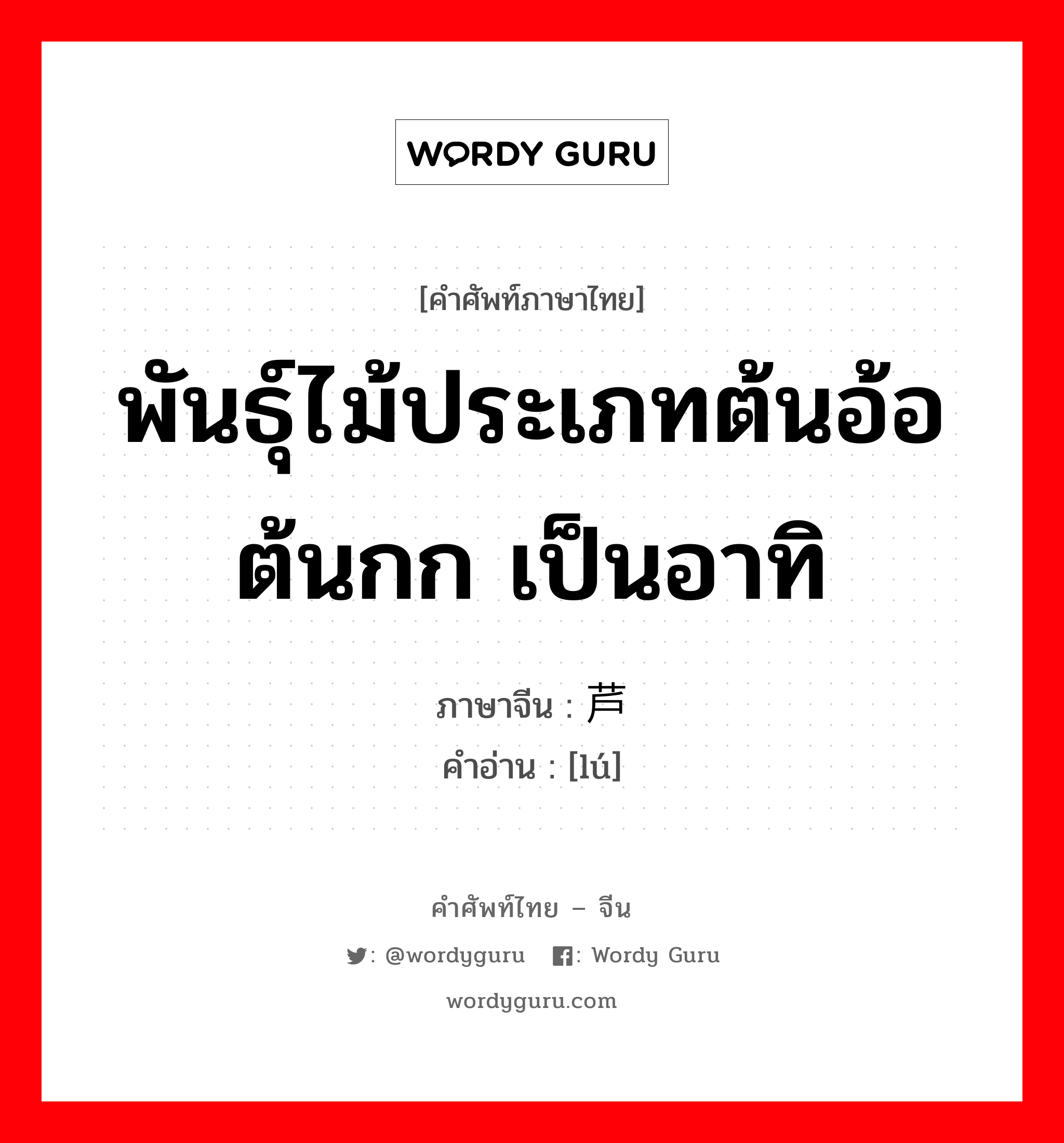 พันธุ์ไม้ประเภทต้นอ้อ ต้นกก เป็นอาทิ ภาษาจีนคืออะไร, คำศัพท์ภาษาไทย - จีน พันธุ์ไม้ประเภทต้นอ้อ ต้นกก เป็นอาทิ ภาษาจีน 芦 คำอ่าน [lú]