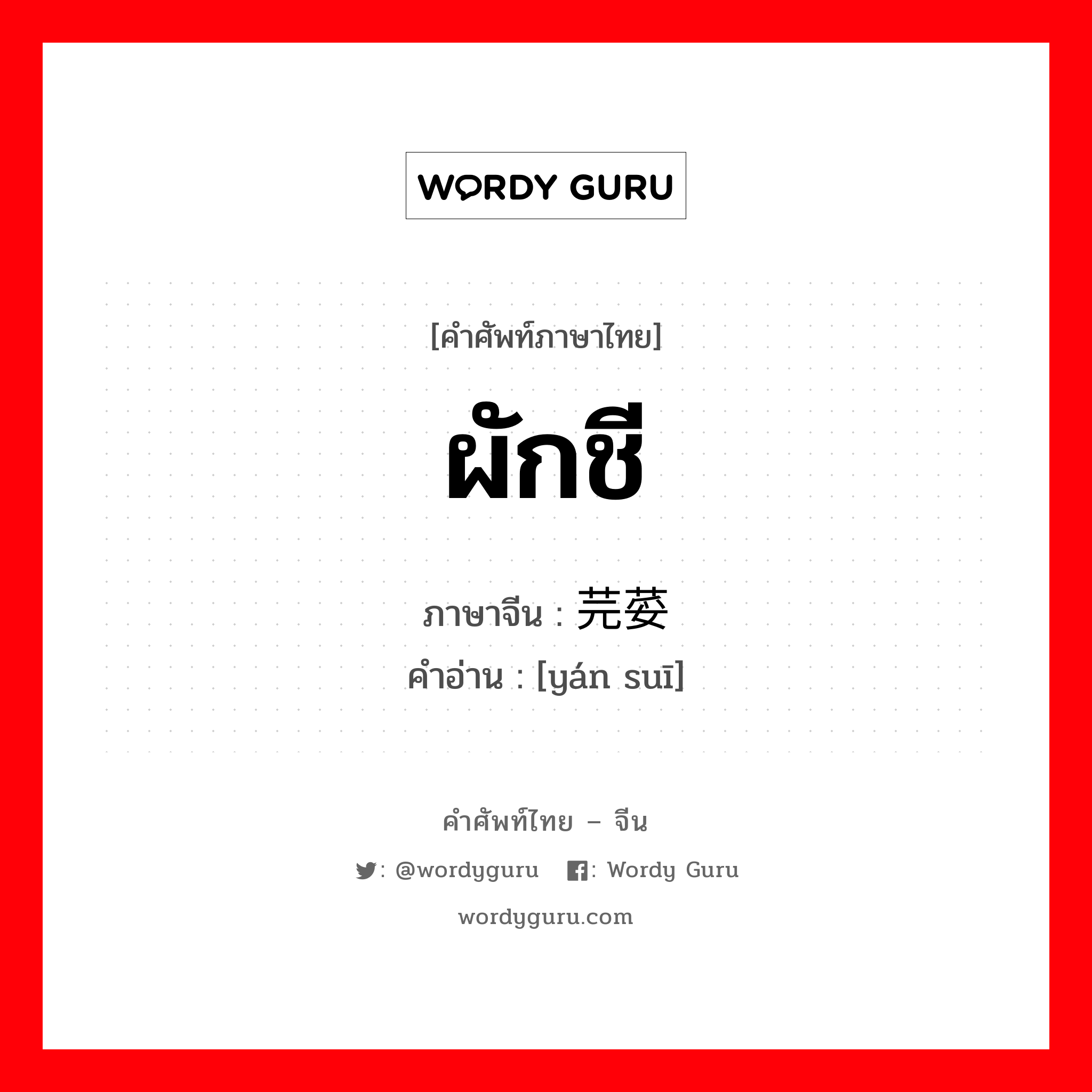 ผักชี ภาษาจีนคืออะไร, คำศัพท์ภาษาไทย - จีน ผักชี ภาษาจีน 芫荽 คำอ่าน [yán suī]