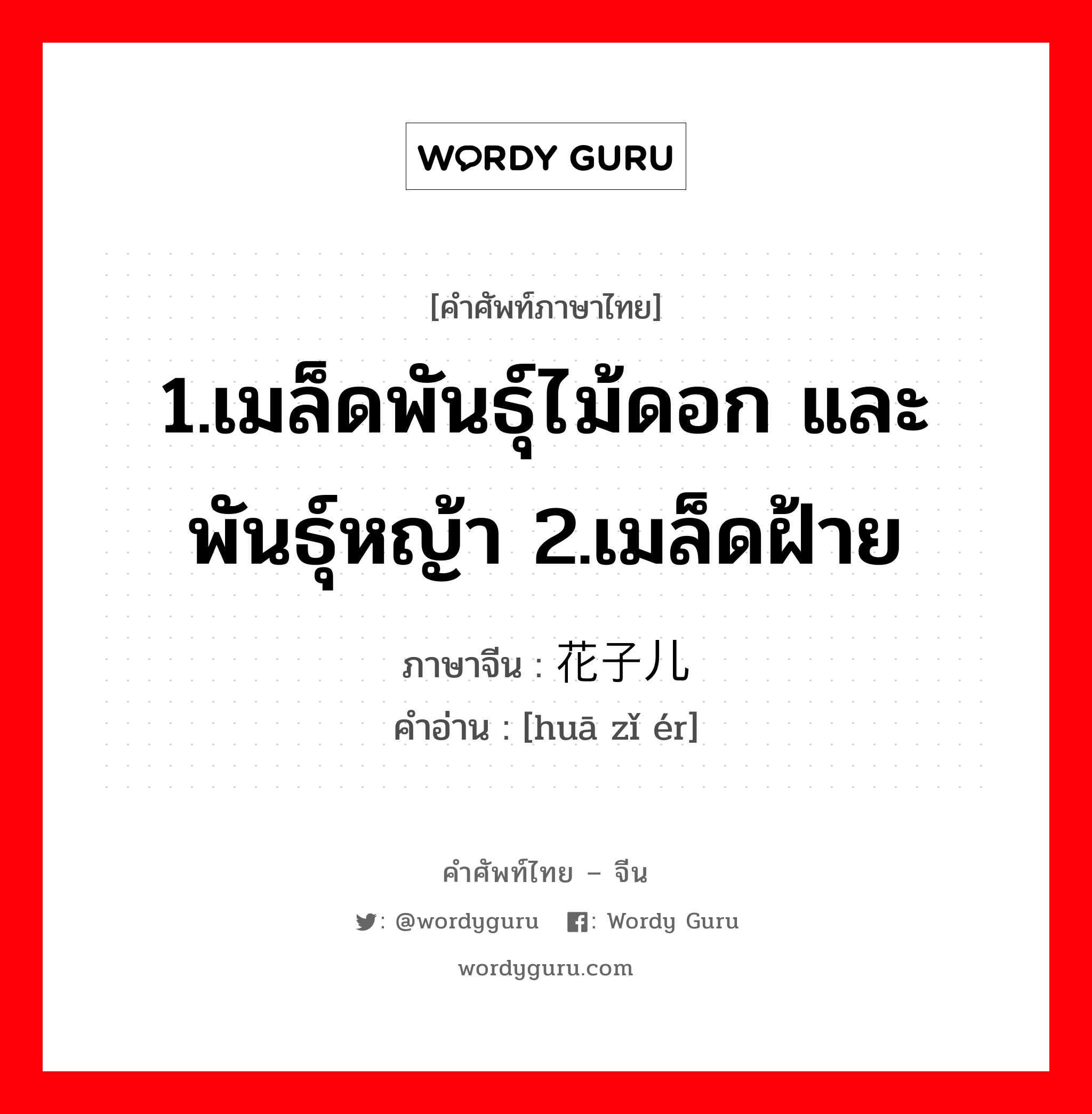 1.เมล็ดพันธุ์ไม้ดอก และพันธุ์หญ้า 2.เมล็ดฝ้าย ภาษาจีนคืออะไร, คำศัพท์ภาษาไทย - จีน 1.เมล็ดพันธุ์ไม้ดอก และพันธุ์หญ้า 2.เมล็ดฝ้าย ภาษาจีน 花子儿 คำอ่าน [huā zǐ ér]