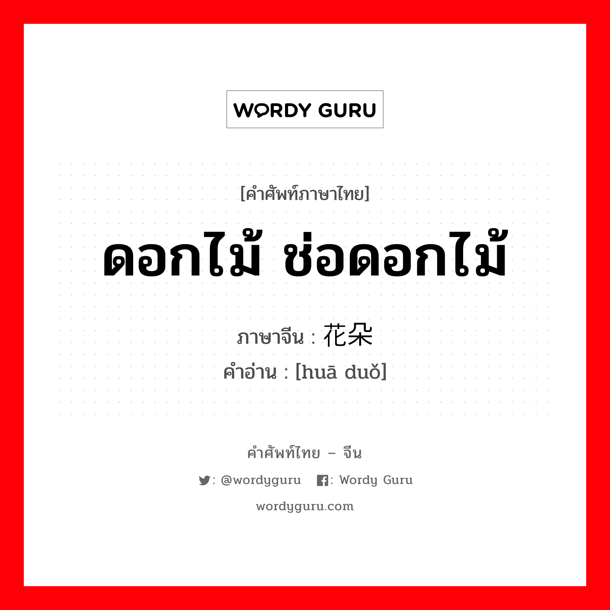 ดอกไม้ ช่อดอกไม้ ภาษาจีนคืออะไร, คำศัพท์ภาษาไทย - จีน ดอกไม้ ช่อดอกไม้ ภาษาจีน 花朵 คำอ่าน [huā duǒ]