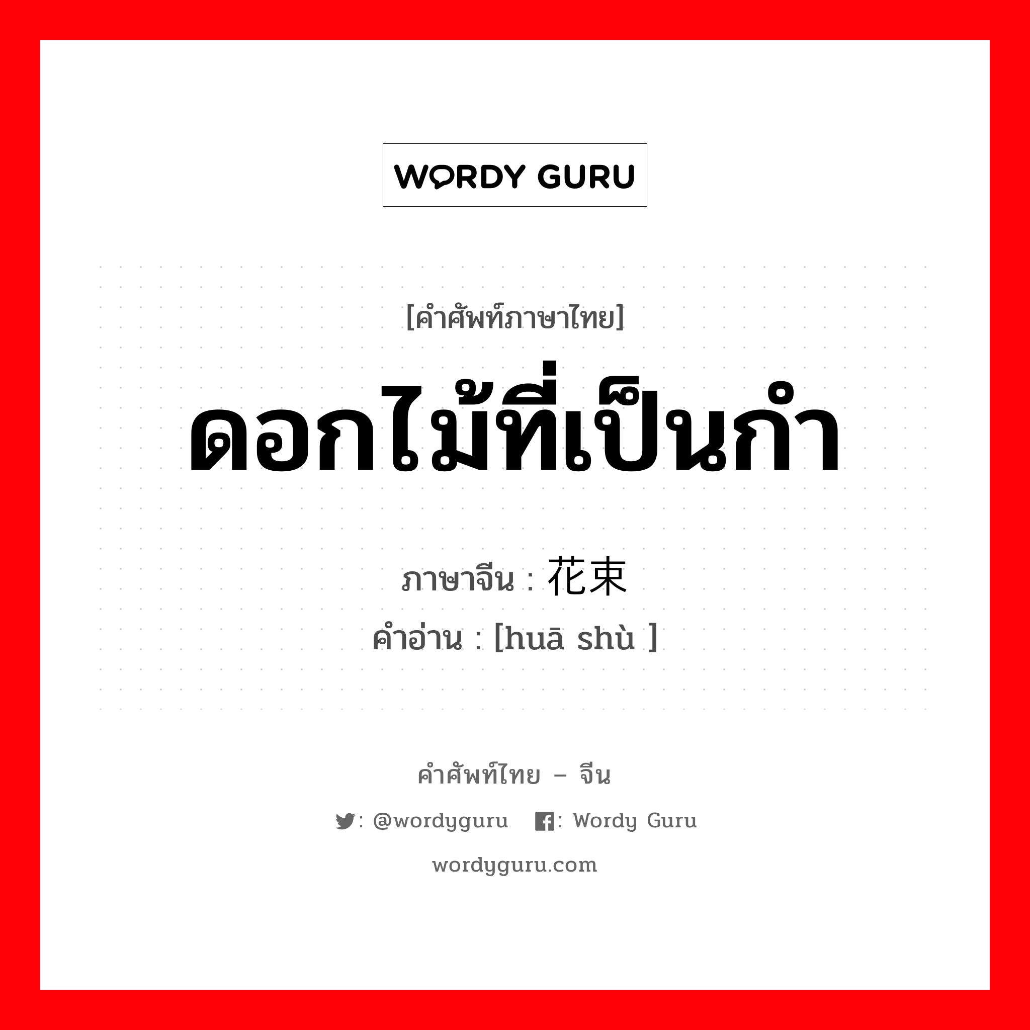 ดอกไม้ที่เป็นกำ ภาษาจีนคืออะไร, คำศัพท์ภาษาไทย - จีน ดอกไม้ที่เป็นกำ ภาษาจีน 花束 คำอ่าน [huā shù ]