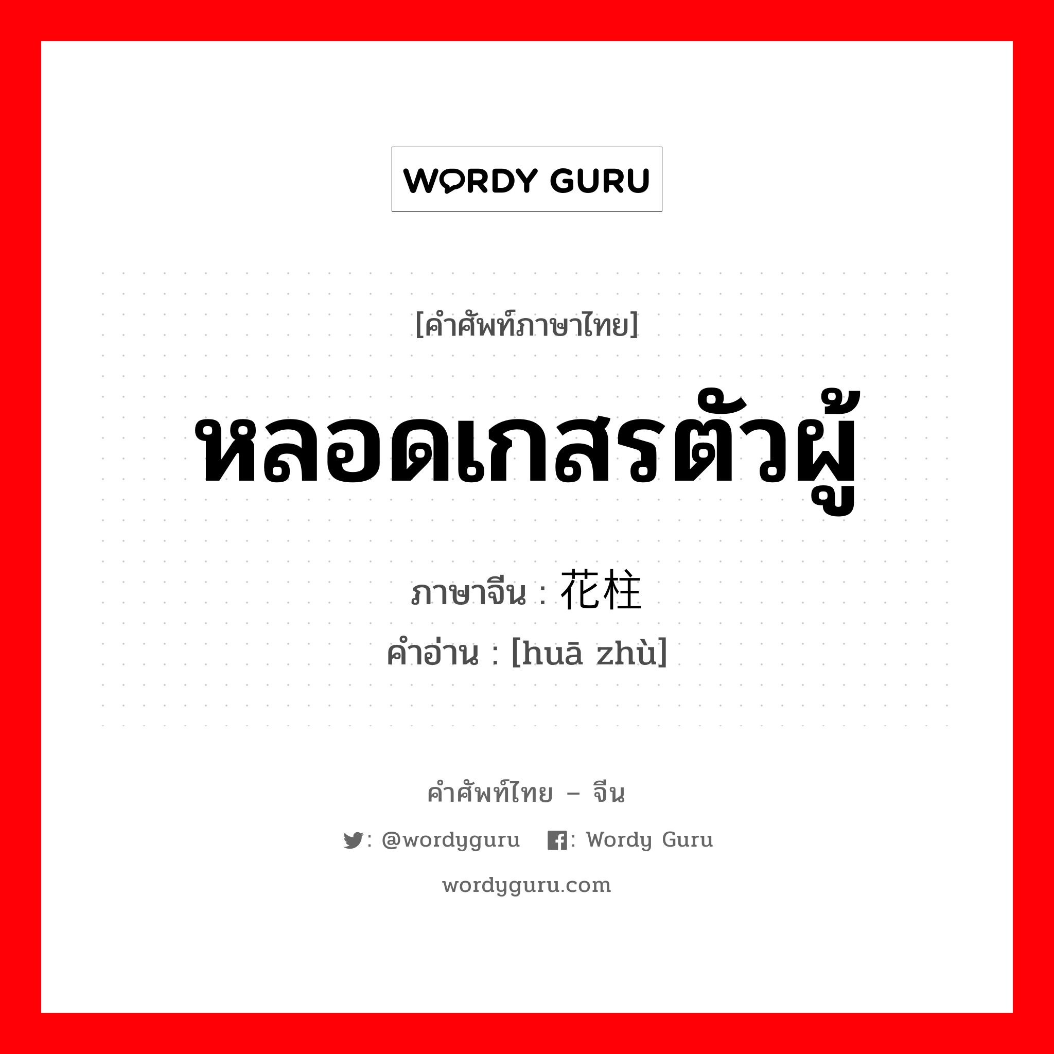 หลอดเกสรตัวผู้ ภาษาจีนคืออะไร, คำศัพท์ภาษาไทย - จีน หลอดเกสรตัวผู้ ภาษาจีน 花柱 คำอ่าน [huā zhù]