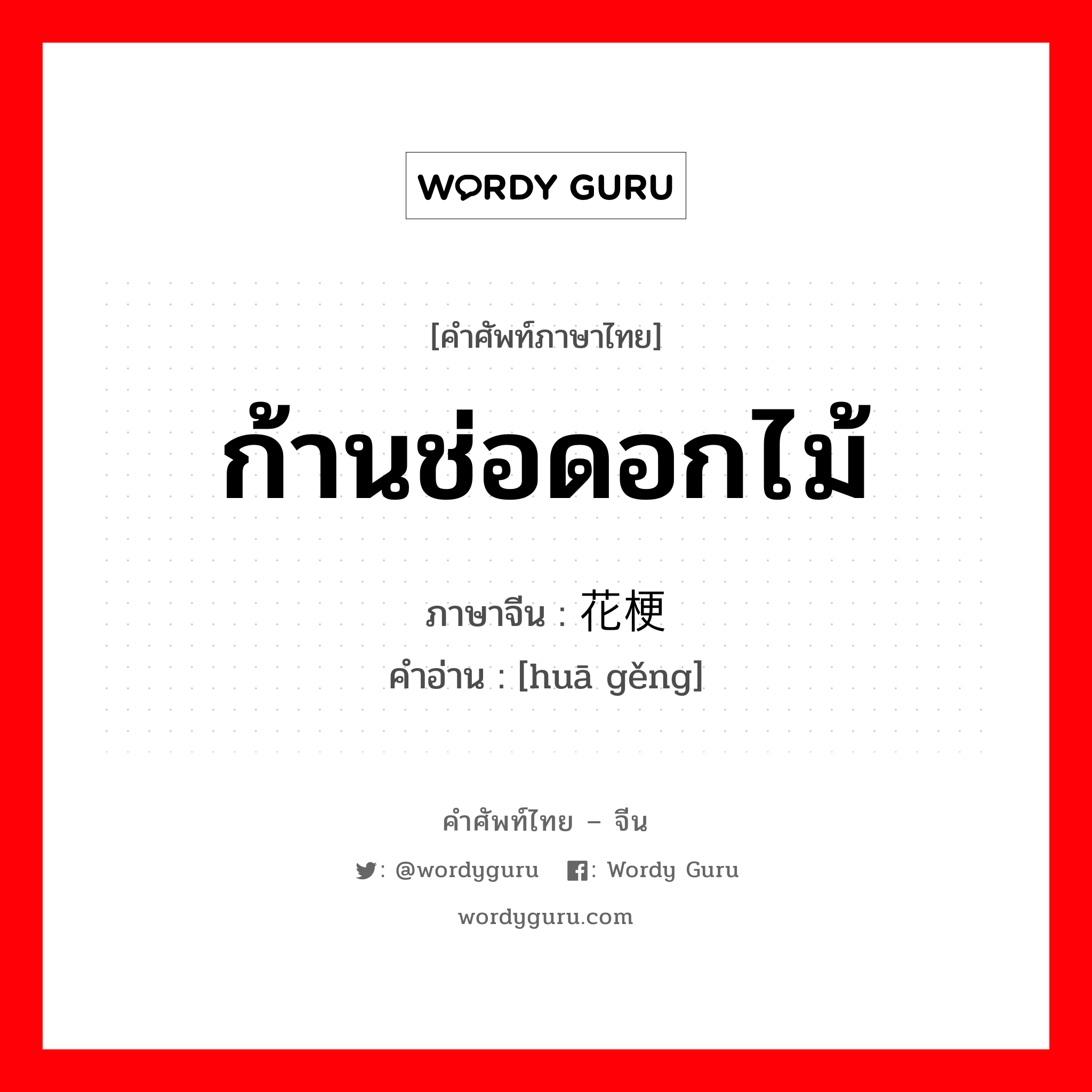 ก้านช่อดอกไม้ ภาษาจีนคืออะไร, คำศัพท์ภาษาไทย - จีน ก้านช่อดอกไม้ ภาษาจีน 花梗 คำอ่าน [huā gěng]