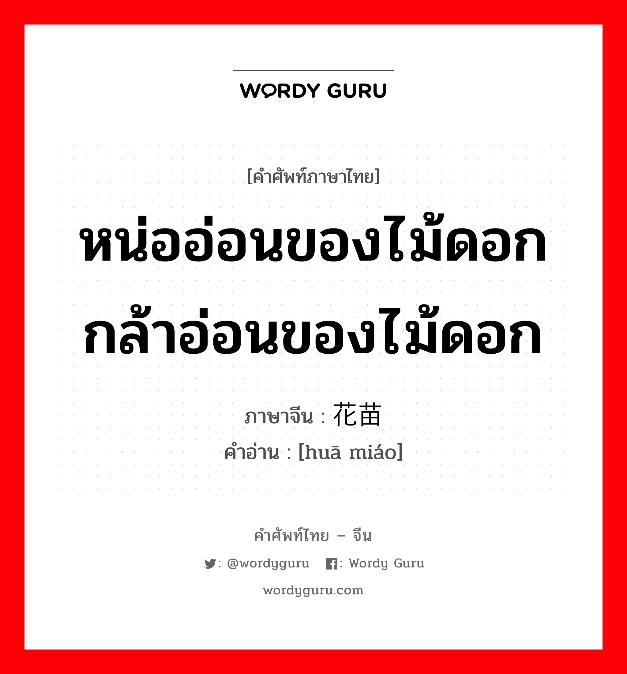 หน่ออ่อนของไม้ดอก กล้าอ่อนของไม้ดอก ภาษาจีนคืออะไร, คำศัพท์ภาษาไทย - จีน หน่ออ่อนของไม้ดอก กล้าอ่อนของไม้ดอก ภาษาจีน 花苗 คำอ่าน [huā miáo]