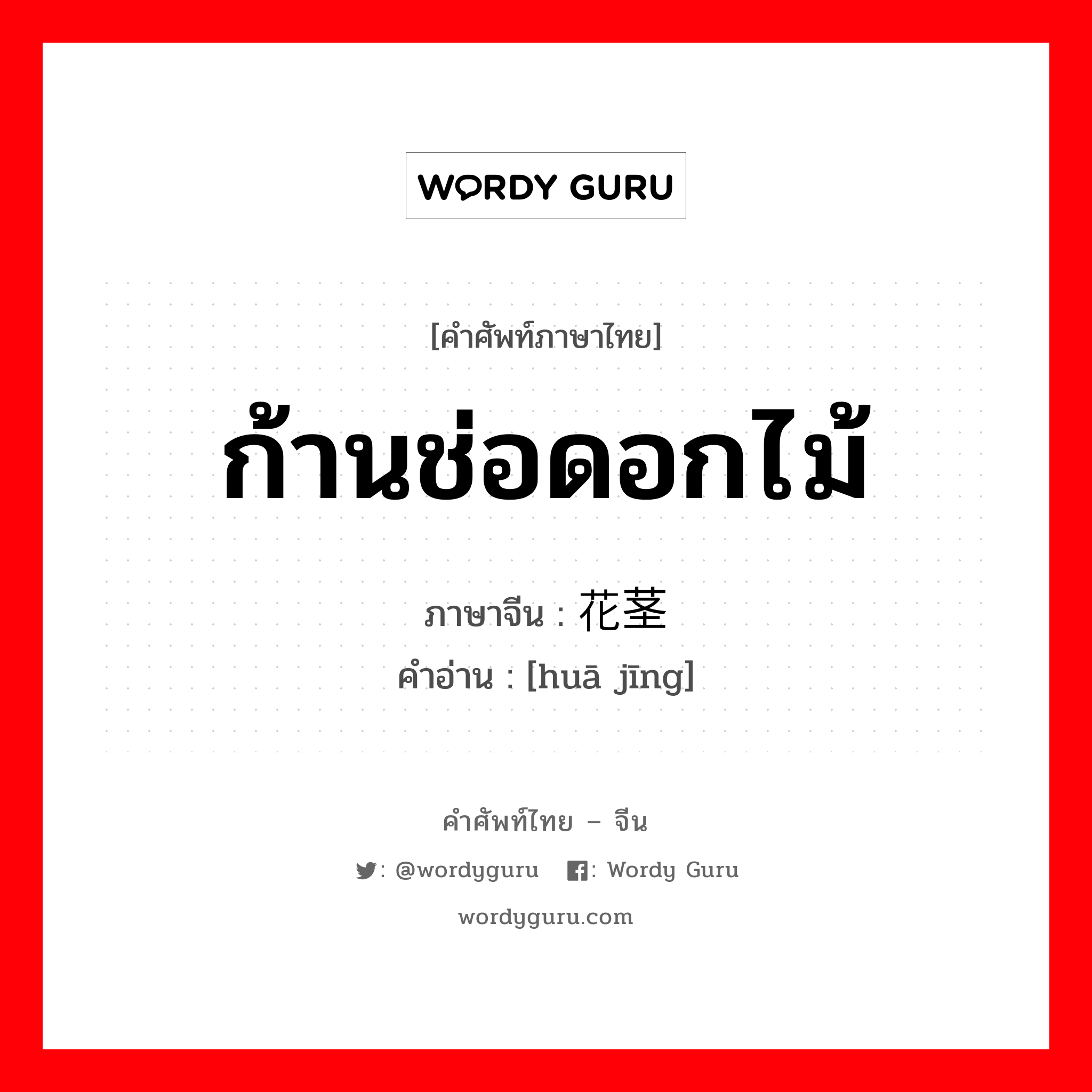 ก้านช่อดอกไม้ ภาษาจีนคืออะไร, คำศัพท์ภาษาไทย - จีน ก้านช่อดอกไม้ ภาษาจีน 花茎 คำอ่าน [huā jīng]