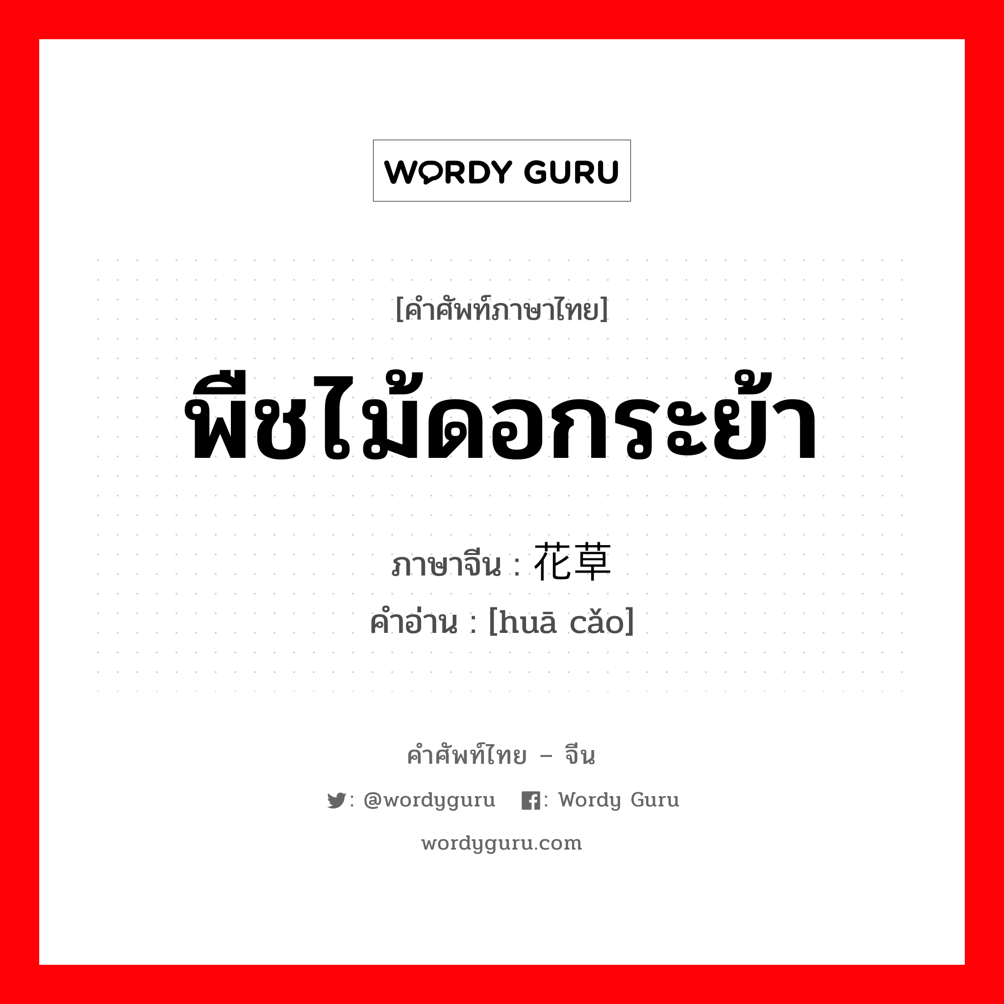 พืชไม้ดอกระย้า ภาษาจีนคืออะไร, คำศัพท์ภาษาไทย - จีน พืชไม้ดอกระย้า ภาษาจีน 花草 คำอ่าน [huā cǎo]