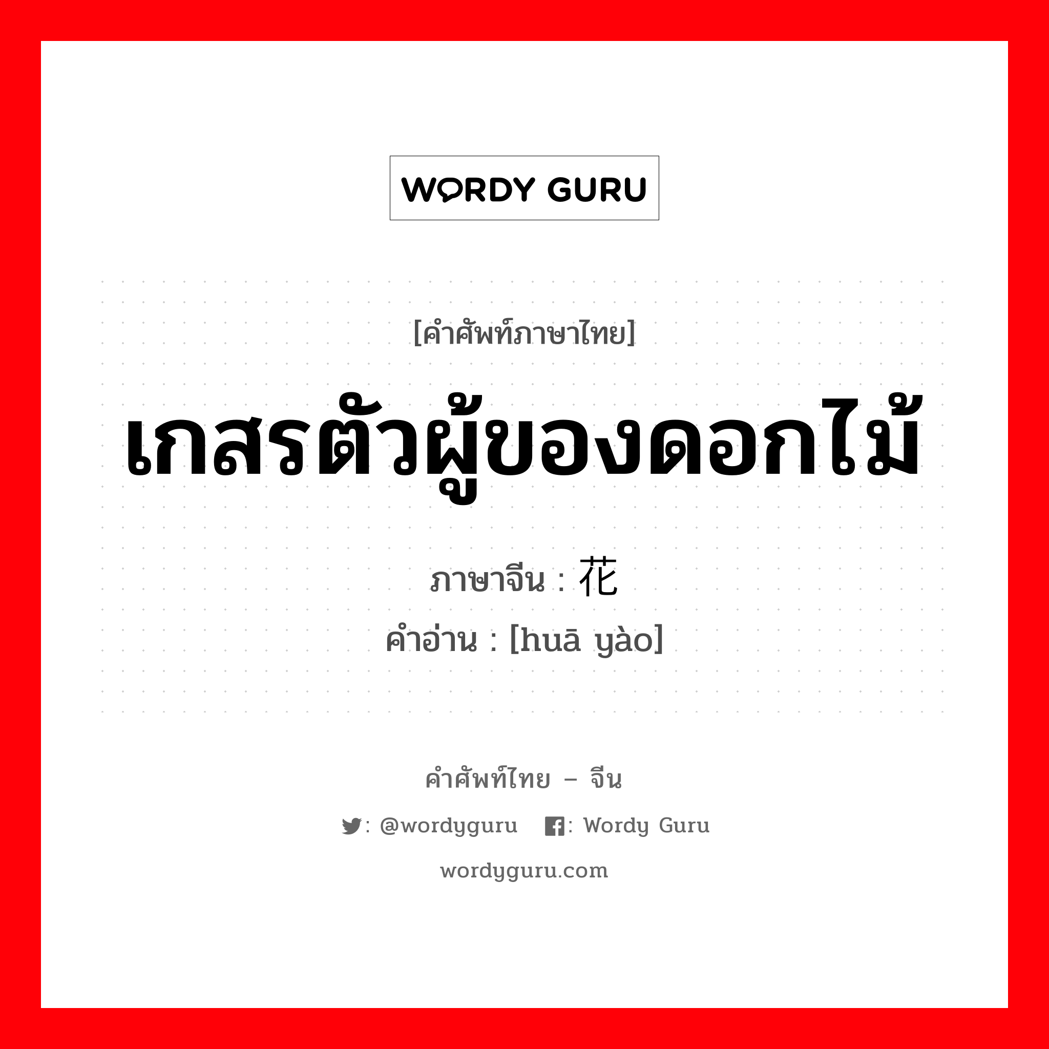 เกสรตัวผู้ของดอกไม้ ภาษาจีนคืออะไร, คำศัพท์ภาษาไทย - จีน เกสรตัวผู้ของดอกไม้ ภาษาจีน 花药 คำอ่าน [huā yào]