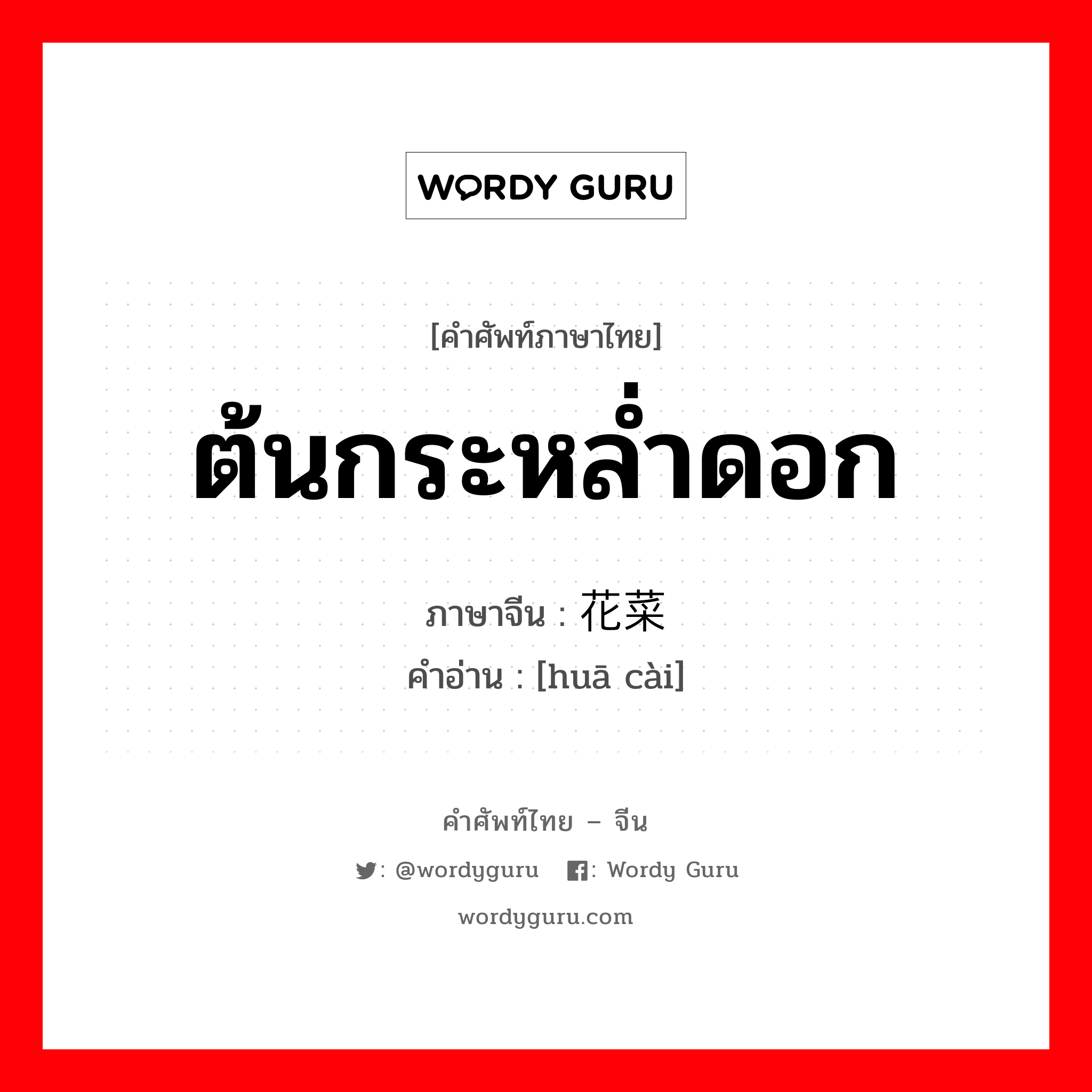 ต้นกระหล่ำดอก ภาษาจีนคืออะไร, คำศัพท์ภาษาไทย - จีน ต้นกระหล่ำดอก ภาษาจีน 花菜 คำอ่าน [huā cài]