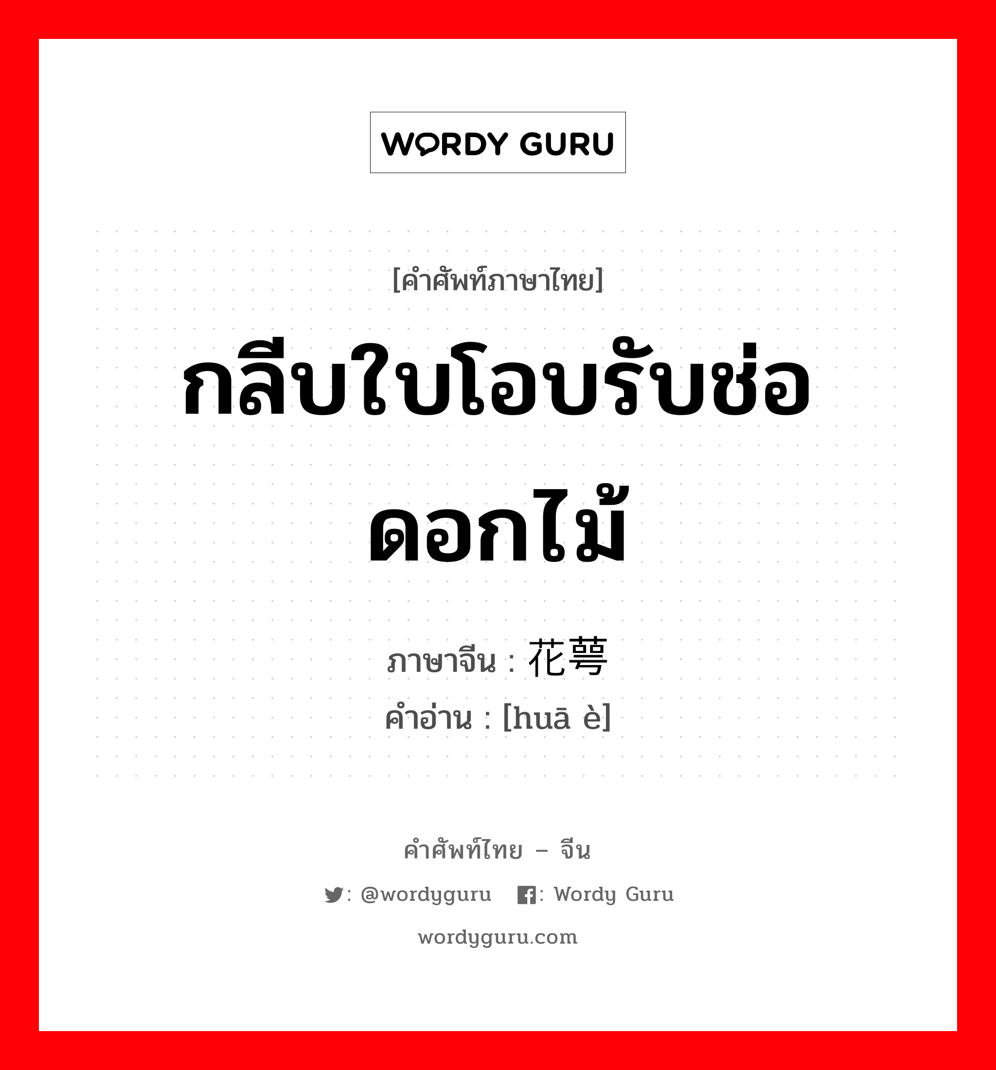 กลีบใบโอบรับช่อดอกไม้ ภาษาจีนคืออะไร, คำศัพท์ภาษาไทย - จีน กลีบใบโอบรับช่อดอกไม้ ภาษาจีน 花萼 คำอ่าน [huā è]