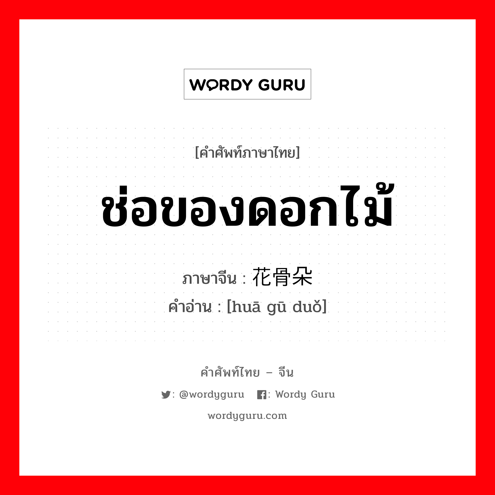 ช่อของดอกไม้ ภาษาจีนคืออะไร, คำศัพท์ภาษาไทย - จีน ช่อของดอกไม้ ภาษาจีน 花骨朵 คำอ่าน [huā gū duǒ]