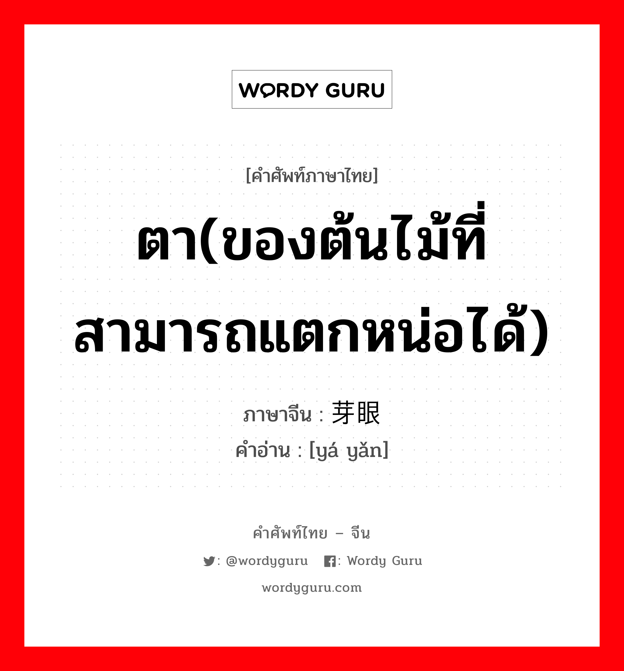 ตา(ของต้นไม้ที่สามารถแตกหน่อได้) ภาษาจีนคืออะไร, คำศัพท์ภาษาไทย - จีน ตา(ของต้นไม้ที่สามารถแตกหน่อได้) ภาษาจีน 芽眼 คำอ่าน [yá yǎn]