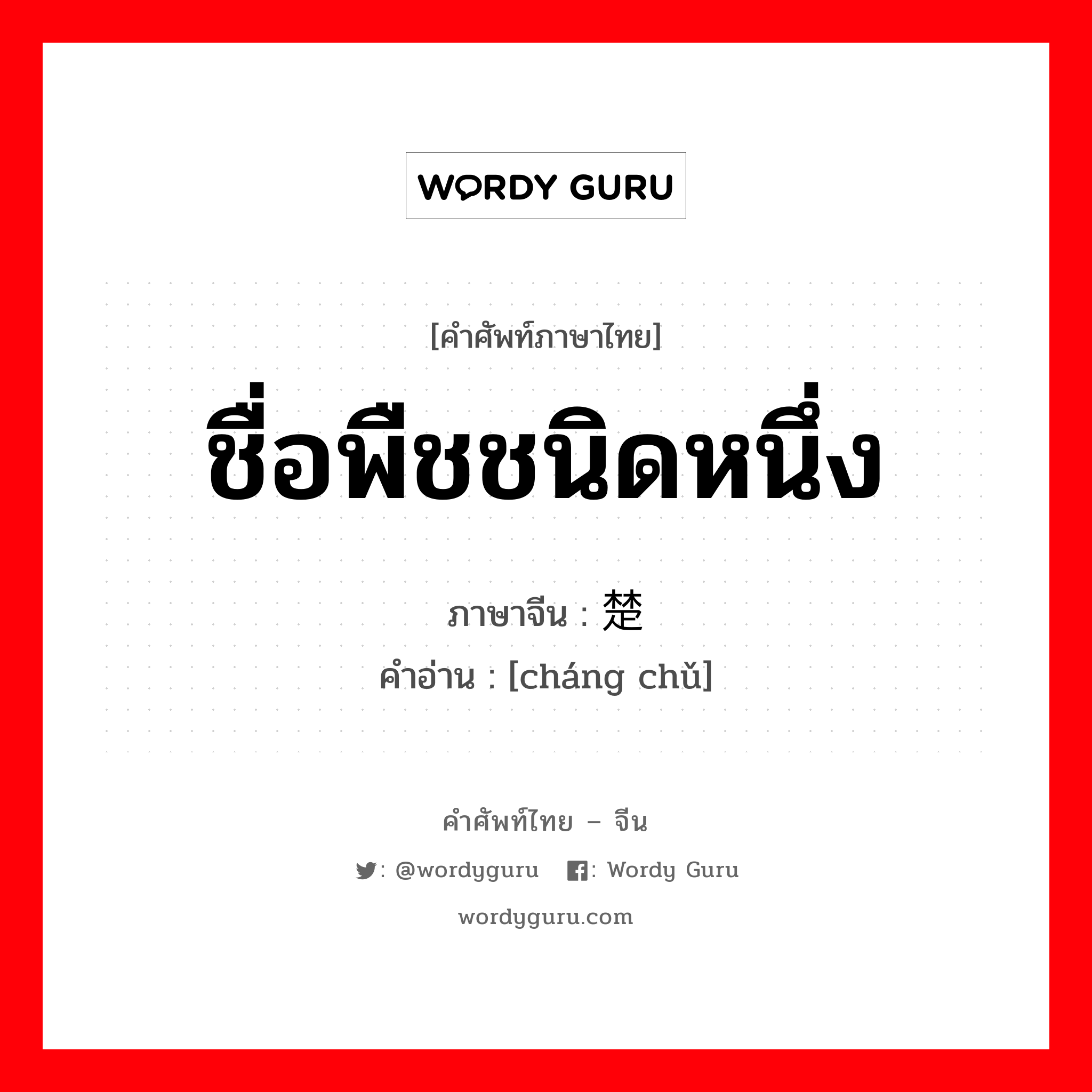 ชื่อพืชชนิดหนึ่ง, ใบรูปกลมรีดอกเป็นพวงช่อรูปหัวคนสีม่วงอมน้ำเงิน รากและก้านรากเข้ายาสมุนไพรได้ ภาษาจีนคืออะไร, คำศัพท์ภาษาไทย - จีน ชื่อพืชชนิดหนึ่ง ภาษาจีน 苌楚 คำอ่าน [cháng chǔ]