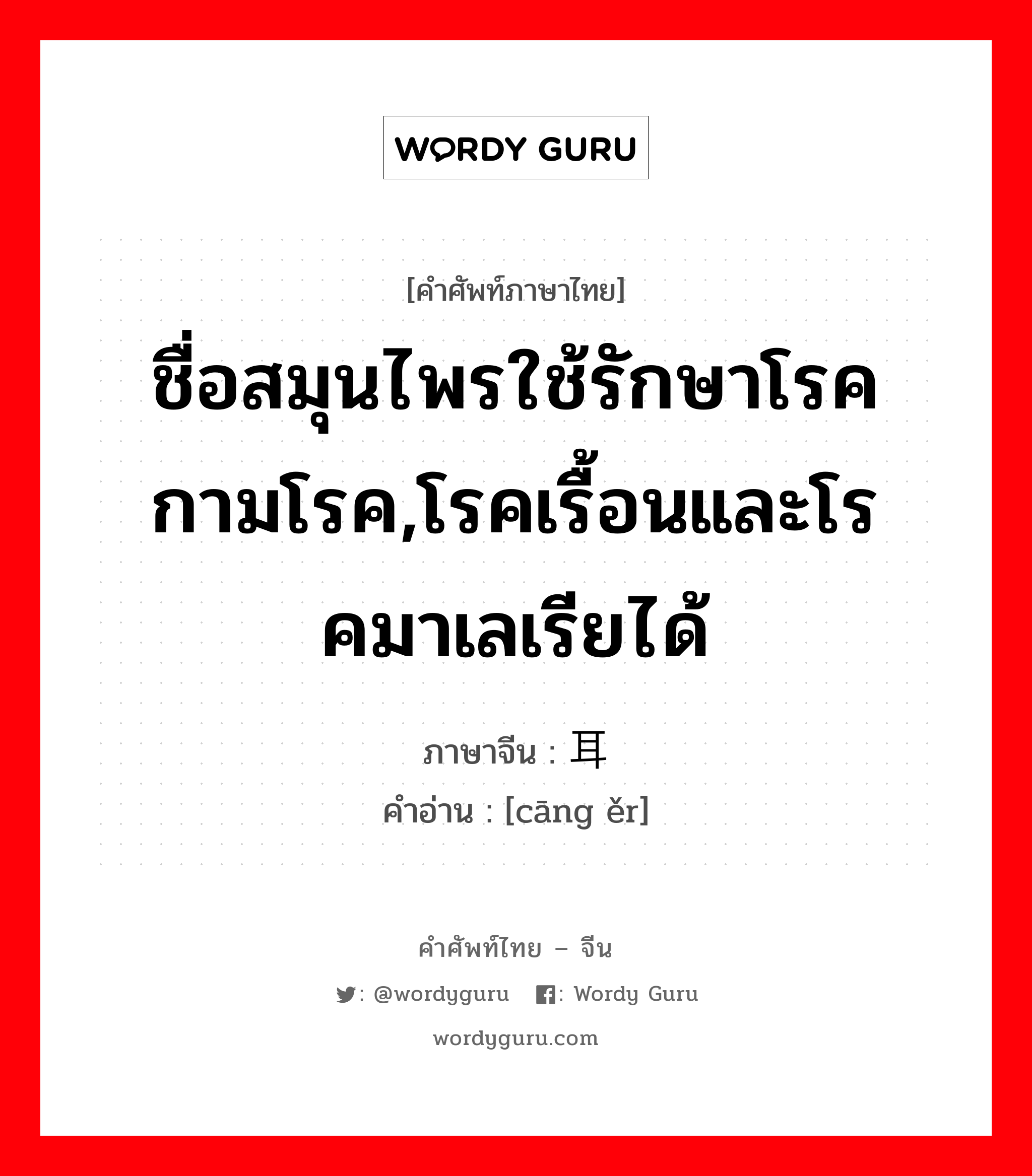 ชื่อสมุนไพรใช้รักษาโรคกามโรค,โรคเรื้อนและโรคมาเลเรียได้ ภาษาจีนคืออะไร, คำศัพท์ภาษาไทย - จีน ชื่อสมุนไพรใช้รักษาโรคกามโรค,โรคเรื้อนและโรคมาเลเรียได้ ภาษาจีน 苍耳 คำอ่าน [cāng ěr]