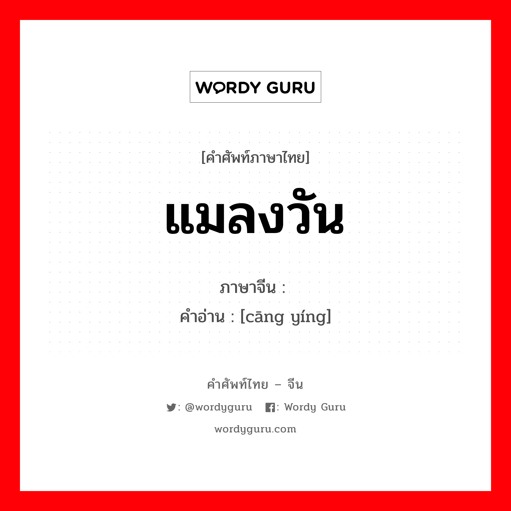 แมลงวัน ภาษาจีนคืออะไร, คำศัพท์ภาษาไทย - จีน แมลงวัน ภาษาจีน 苍蝇 คำอ่าน [cāng yíng]