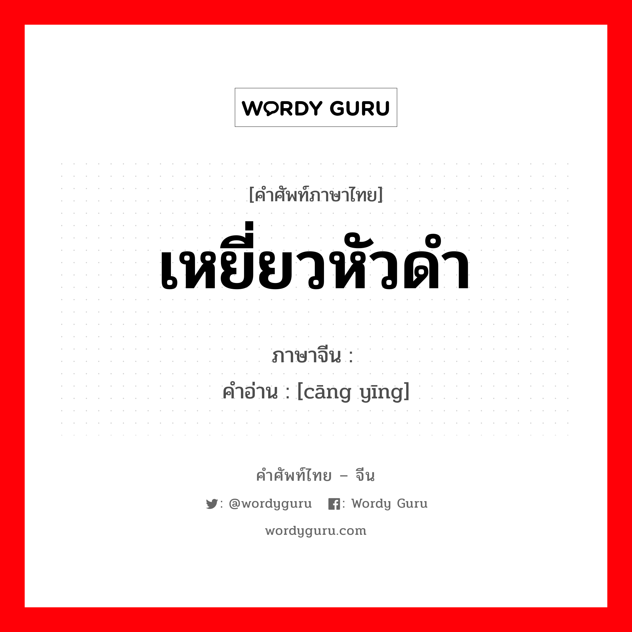 เหยี่ยวหัวดำ ภาษาจีนคืออะไร, คำศัพท์ภาษาไทย - จีน เหยี่ยวหัวดำ ภาษาจีน 苍鹰 คำอ่าน [cāng yīng]