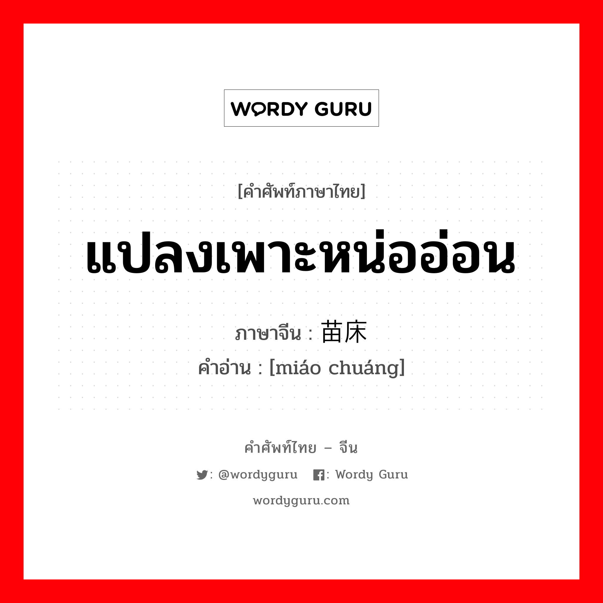 แปลงเพาะหน่ออ่อน ภาษาจีนคืออะไร, คำศัพท์ภาษาไทย - จีน แปลงเพาะหน่ออ่อน ภาษาจีน 苗床 คำอ่าน [miáo chuáng]