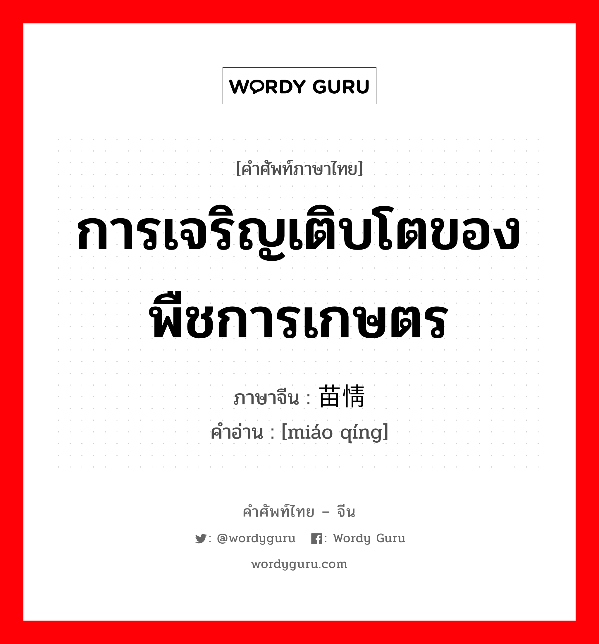 การเจริญเติบโตของพืชการเกษตร ภาษาจีนคืออะไร, คำศัพท์ภาษาไทย - จีน การเจริญเติบโตของพืชการเกษตร ภาษาจีน 苗情 คำอ่าน [miáo qíng]