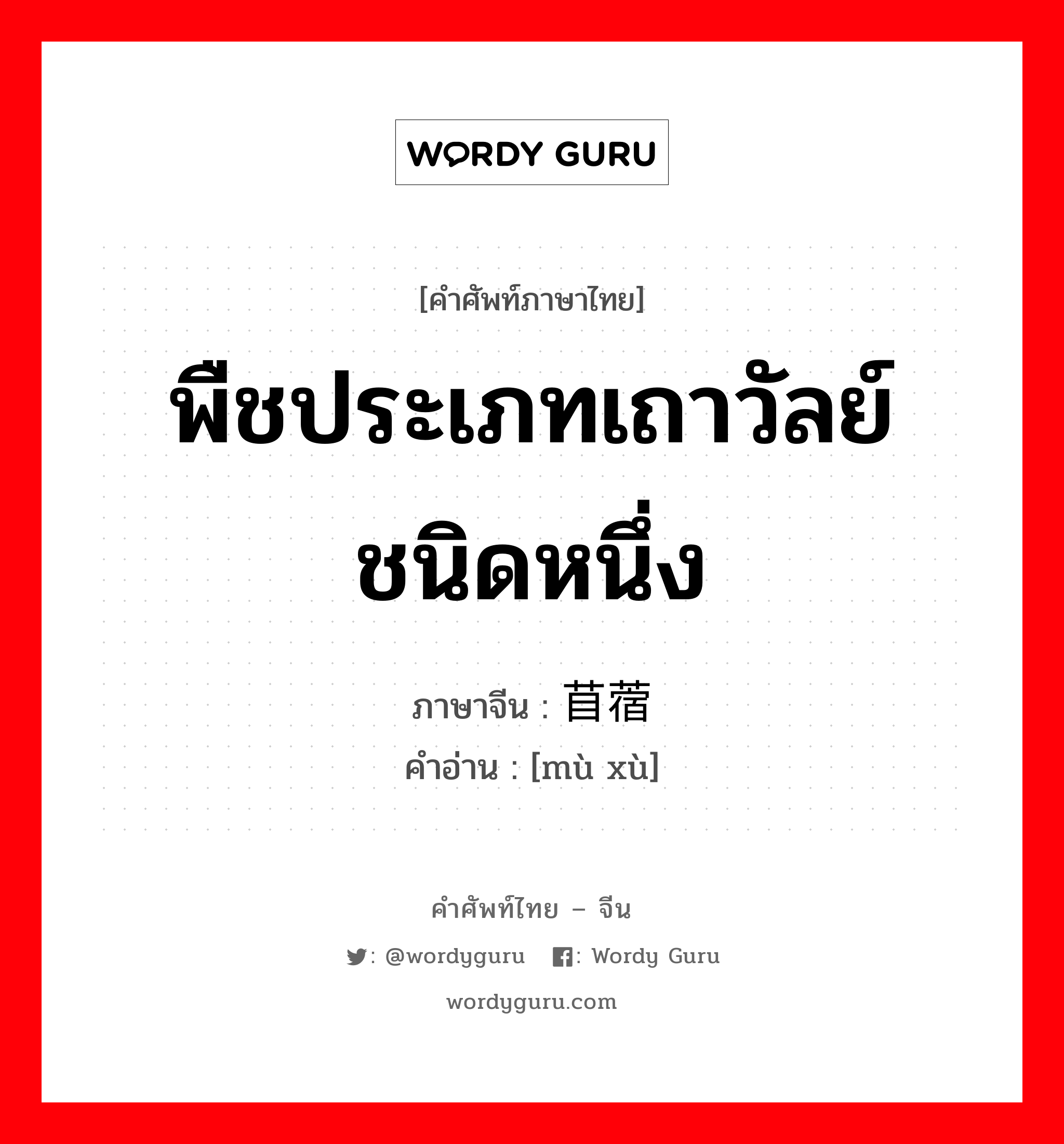 พืชประเภทเถาวัลย์ชนิดหนึ่ง ภาษาจีนคืออะไร, คำศัพท์ภาษาไทย - จีน พืชประเภทเถาวัลย์ชนิดหนึ่ง ภาษาจีน 苜蓿 คำอ่าน [mù xù]