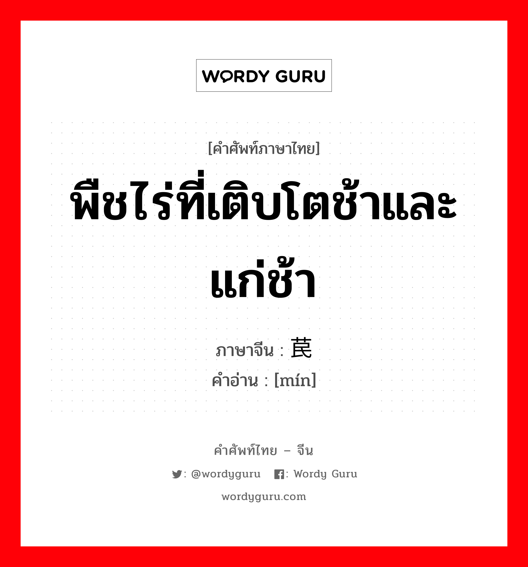 พืชไร่ที่เติบโตช้าและแก่ช้า ภาษาจีนคืออะไร, คำศัพท์ภาษาไทย - จีน พืชไร่ที่เติบโตช้าและแก่ช้า ภาษาจีน 苠 คำอ่าน [mín]