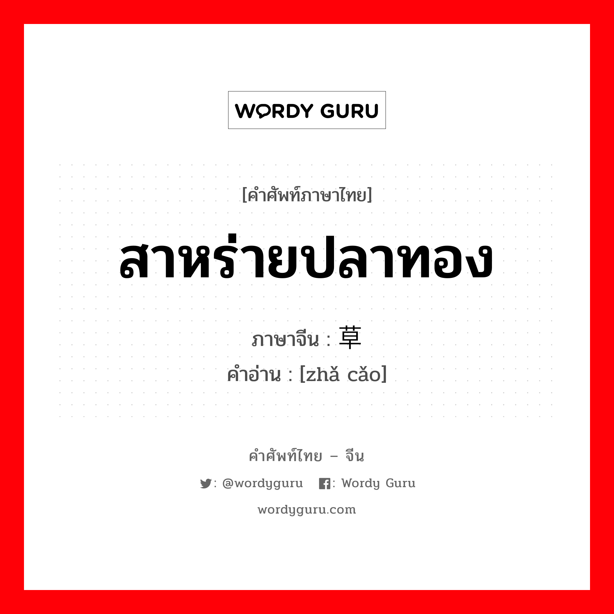 สาหร่ายปลาทอง ภาษาจีนคืออะไร, คำศัพท์ภาษาไทย - จีน สาหร่ายปลาทอง ภาษาจีน 苲草 คำอ่าน [zhǎ cǎo]