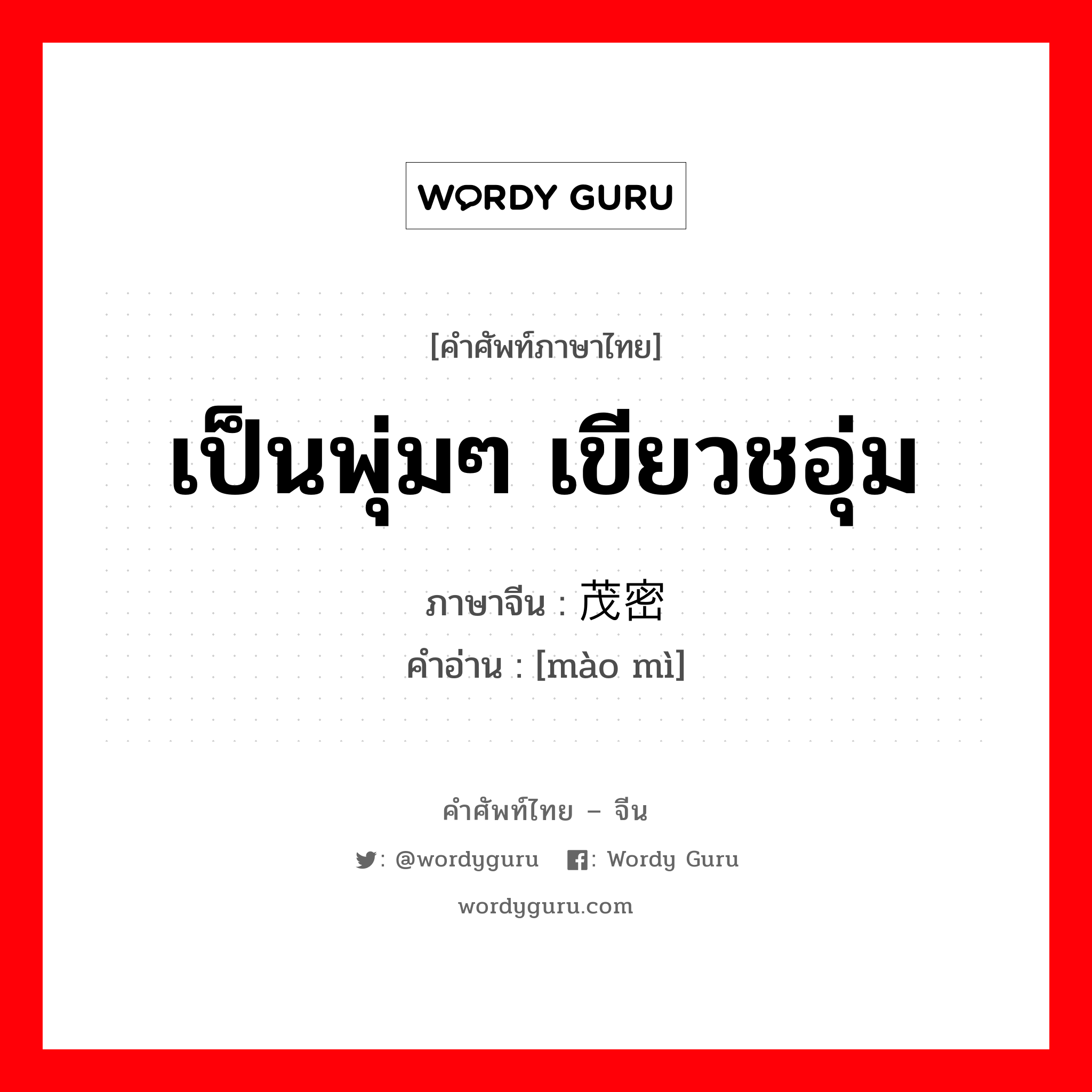 เป็นพุ่มๆ เขียวชอุ่ม ภาษาจีนคืออะไร, คำศัพท์ภาษาไทย - จีน เป็นพุ่มๆ เขียวชอุ่ม ภาษาจีน 茂密 คำอ่าน [mào mì]