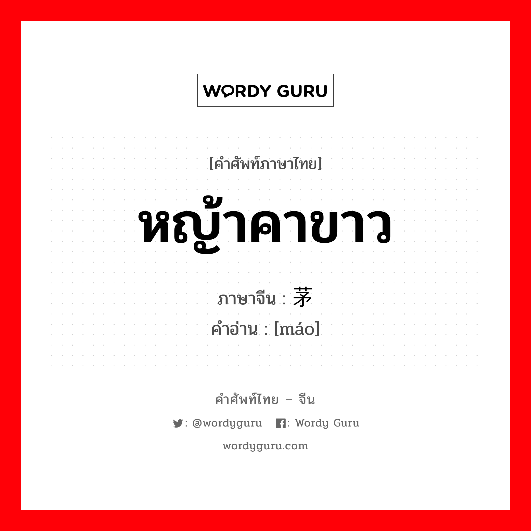 หญ้าคาขาว ภาษาจีนคืออะไร, คำศัพท์ภาษาไทย - จีน หญ้าคาขาว ภาษาจีน 茅 คำอ่าน [máo]