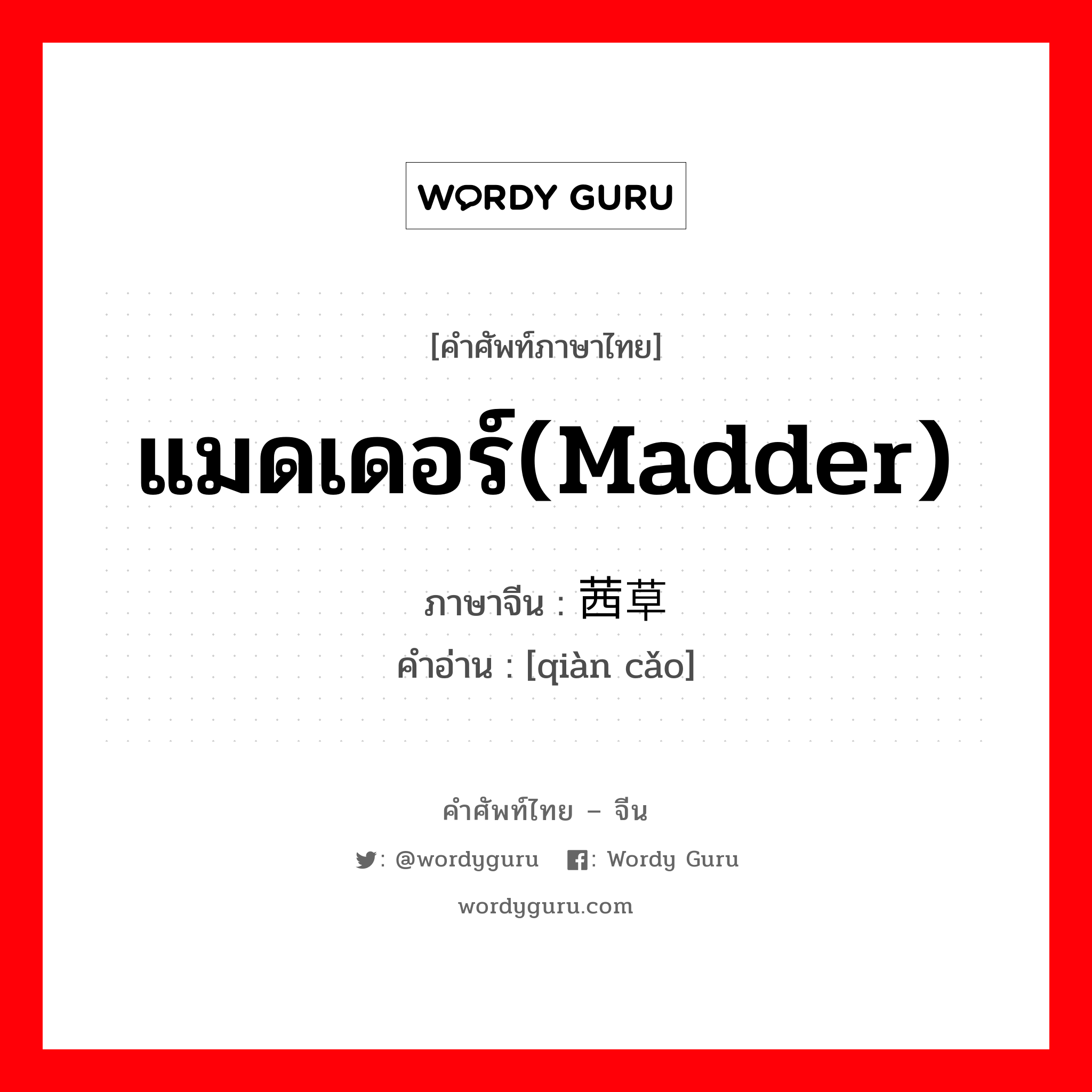 แมดเดอร์(madder) ภาษาจีนคืออะไร, คำศัพท์ภาษาไทย - จีน แมดเดอร์(madder) ภาษาจีน 茜草 คำอ่าน [qiàn cǎo]