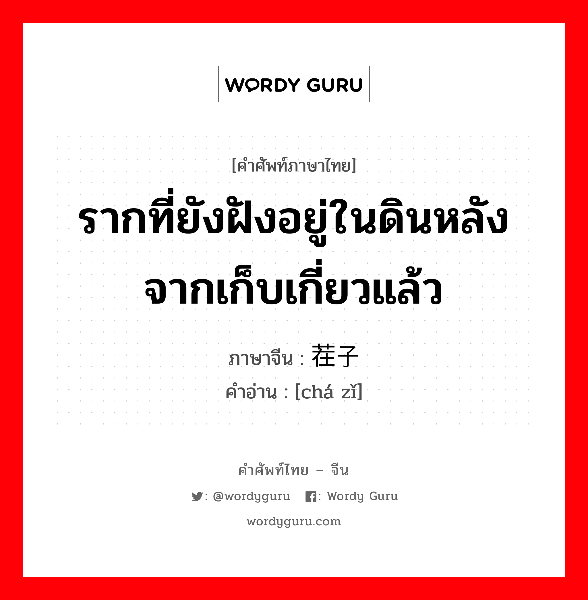 รากที่ยังฝังอยู่ในดินหลังจากเก็บเกี่ยวแล้ว ภาษาจีนคืออะไร, คำศัพท์ภาษาไทย - จีน รากที่ยังฝังอยู่ในดินหลังจากเก็บเกี่ยวแล้ว ภาษาจีน 茬子 คำอ่าน [chá zǐ]